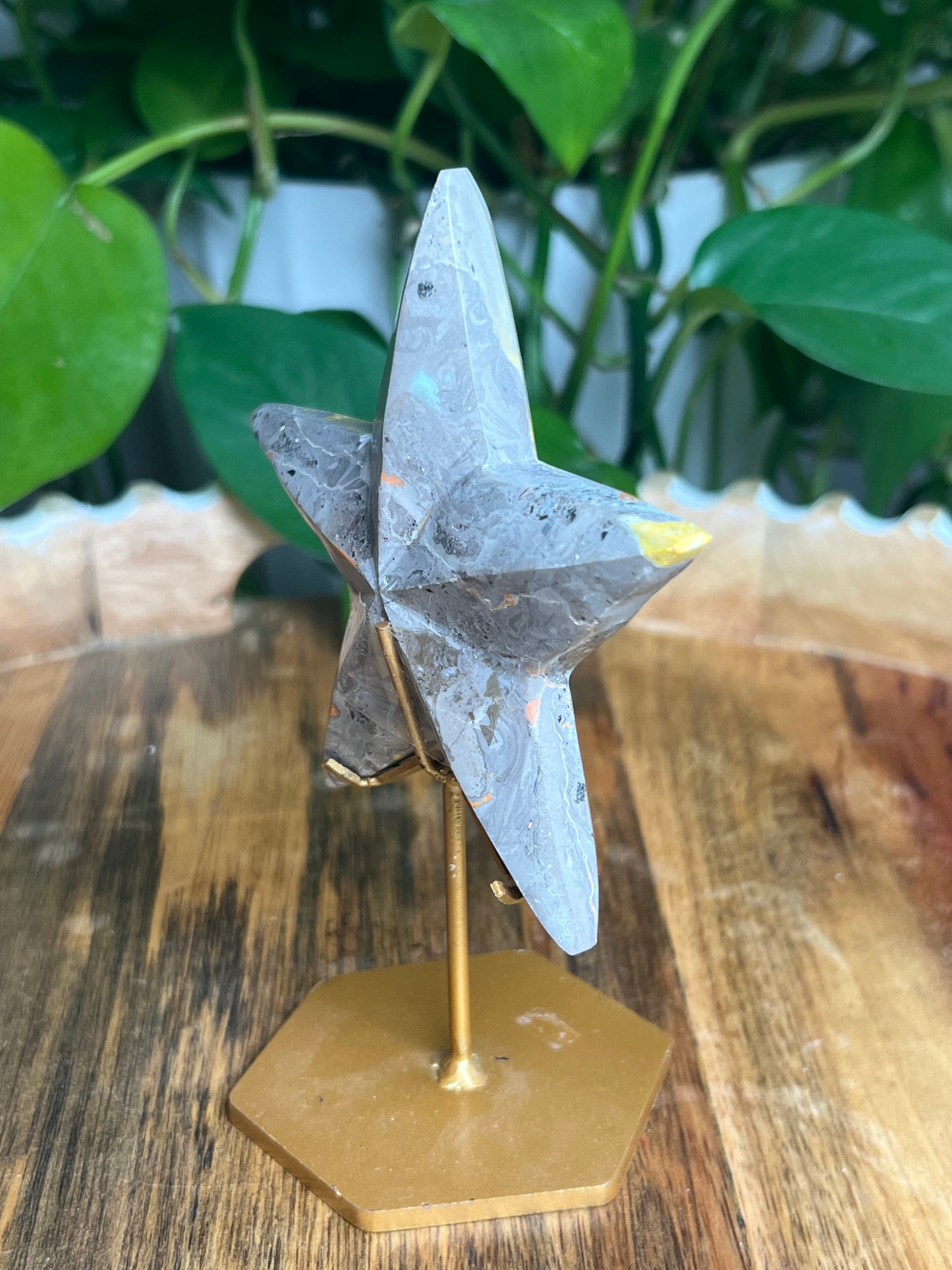 Bumblebee Jasper Star: PM