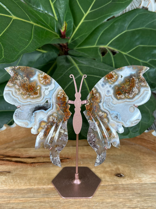 Scenic moss agate Wings
