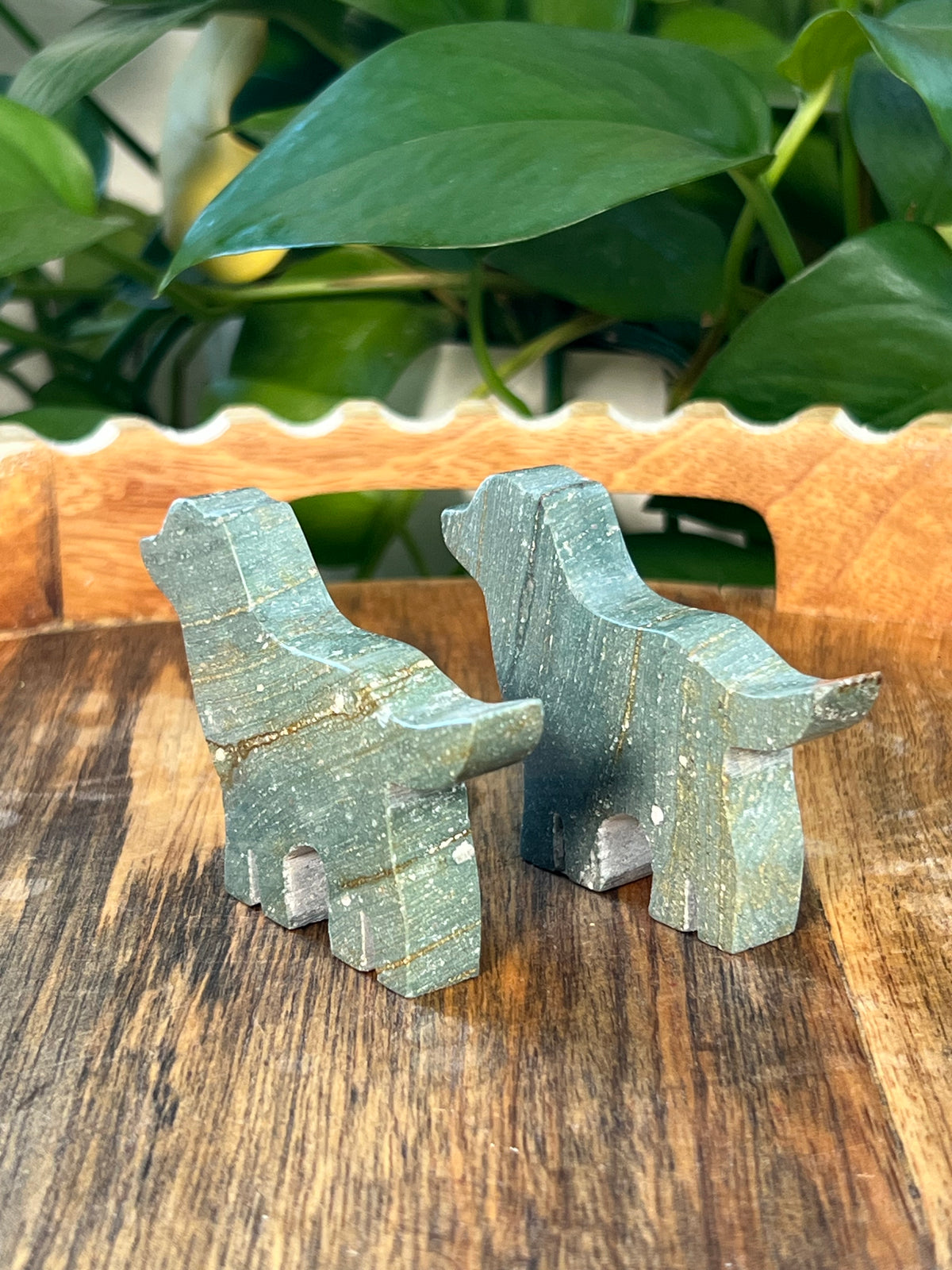 Blue Green Jasper Dogs