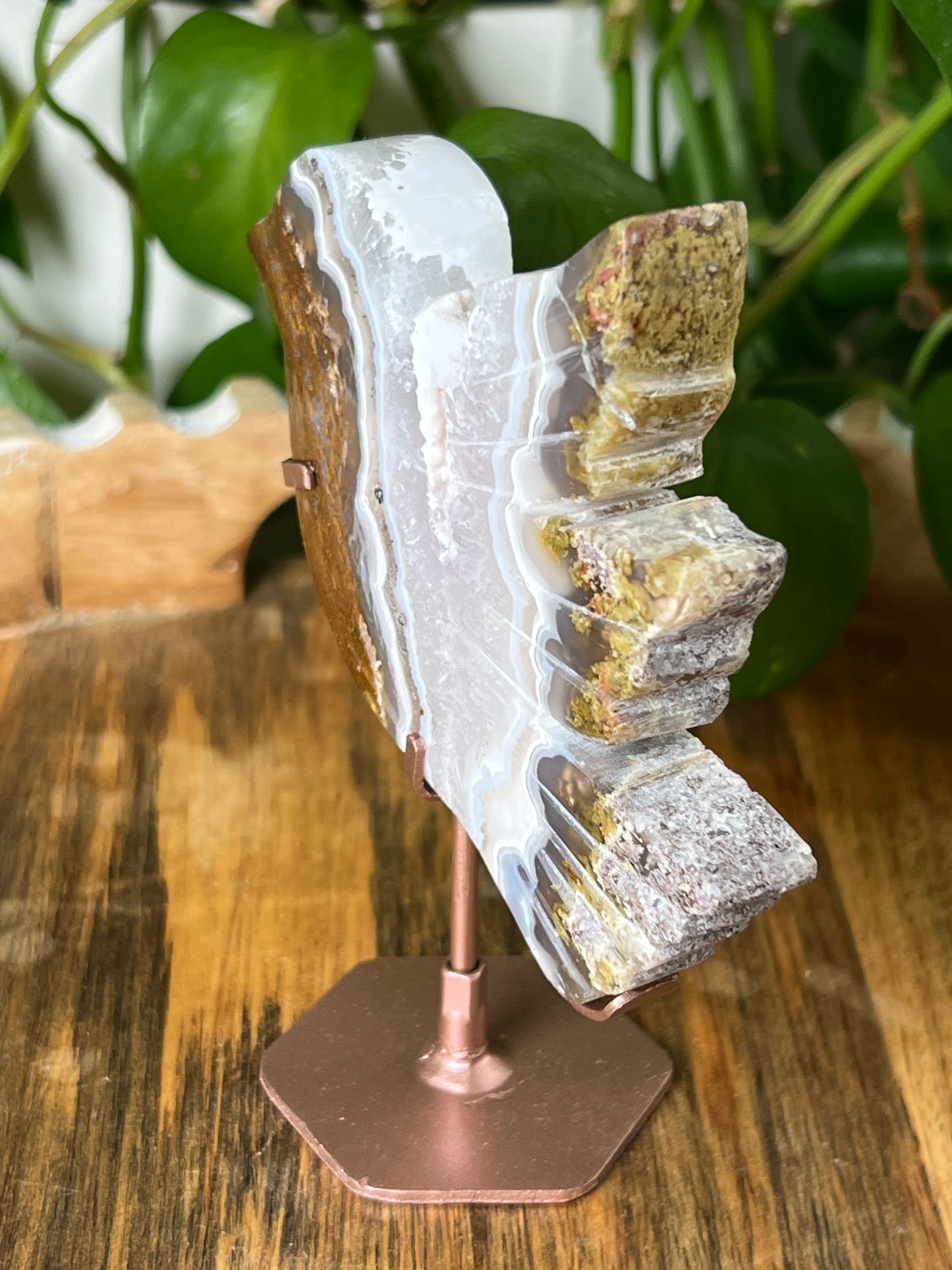 Scenic Moss Agate Bird