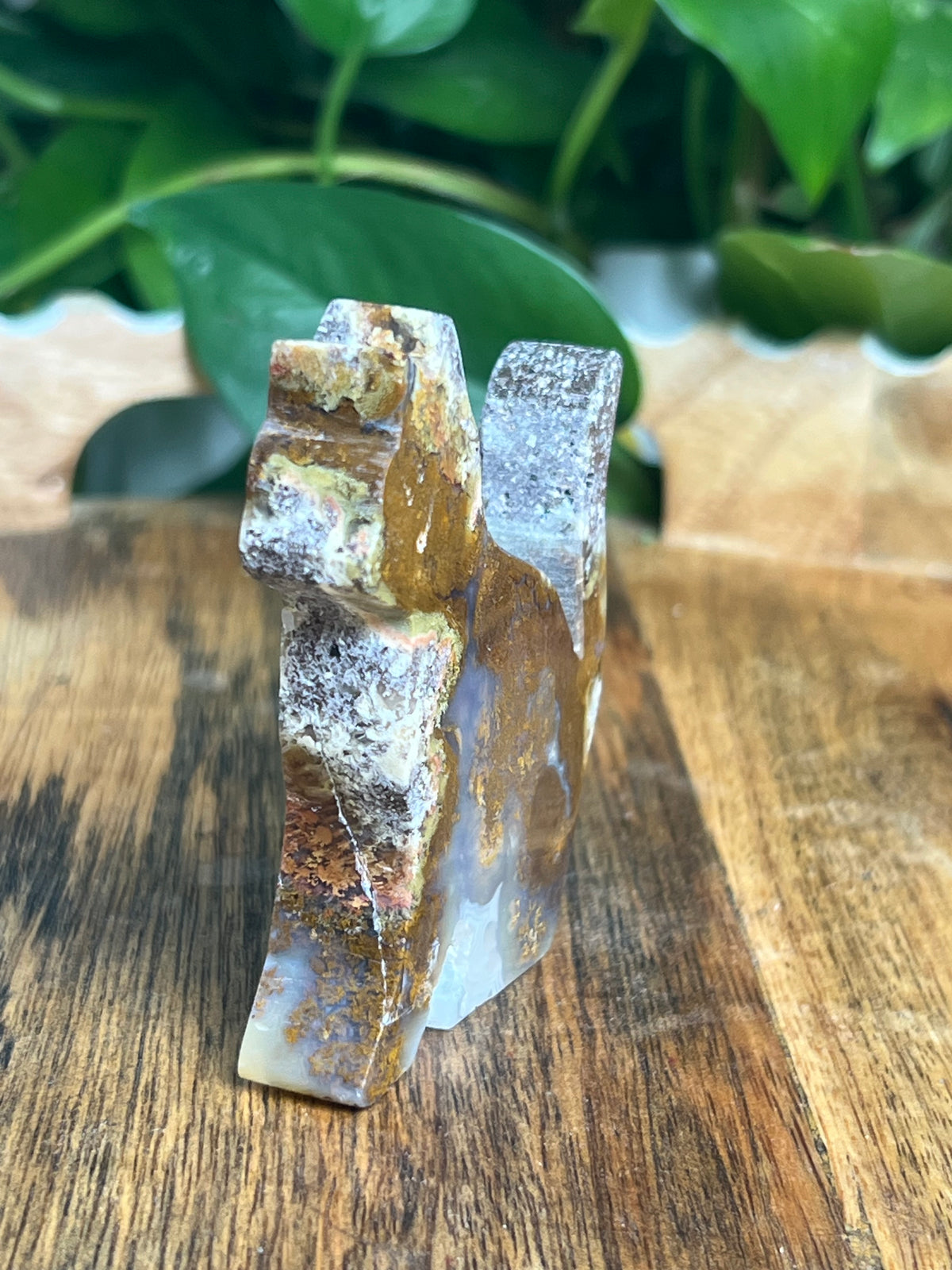 Scenic Moss Agate Cat: RE
