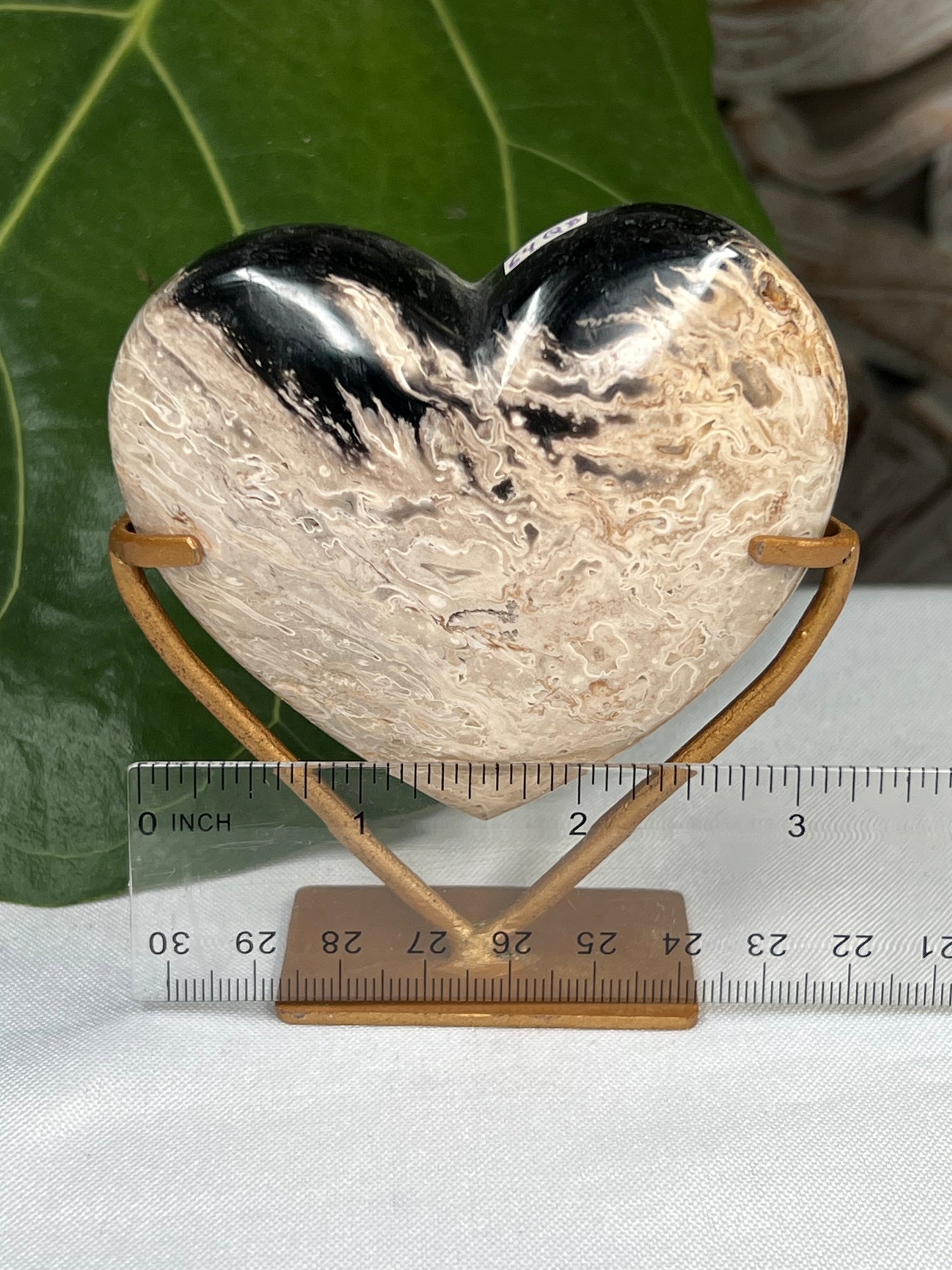 Palm Root Heart