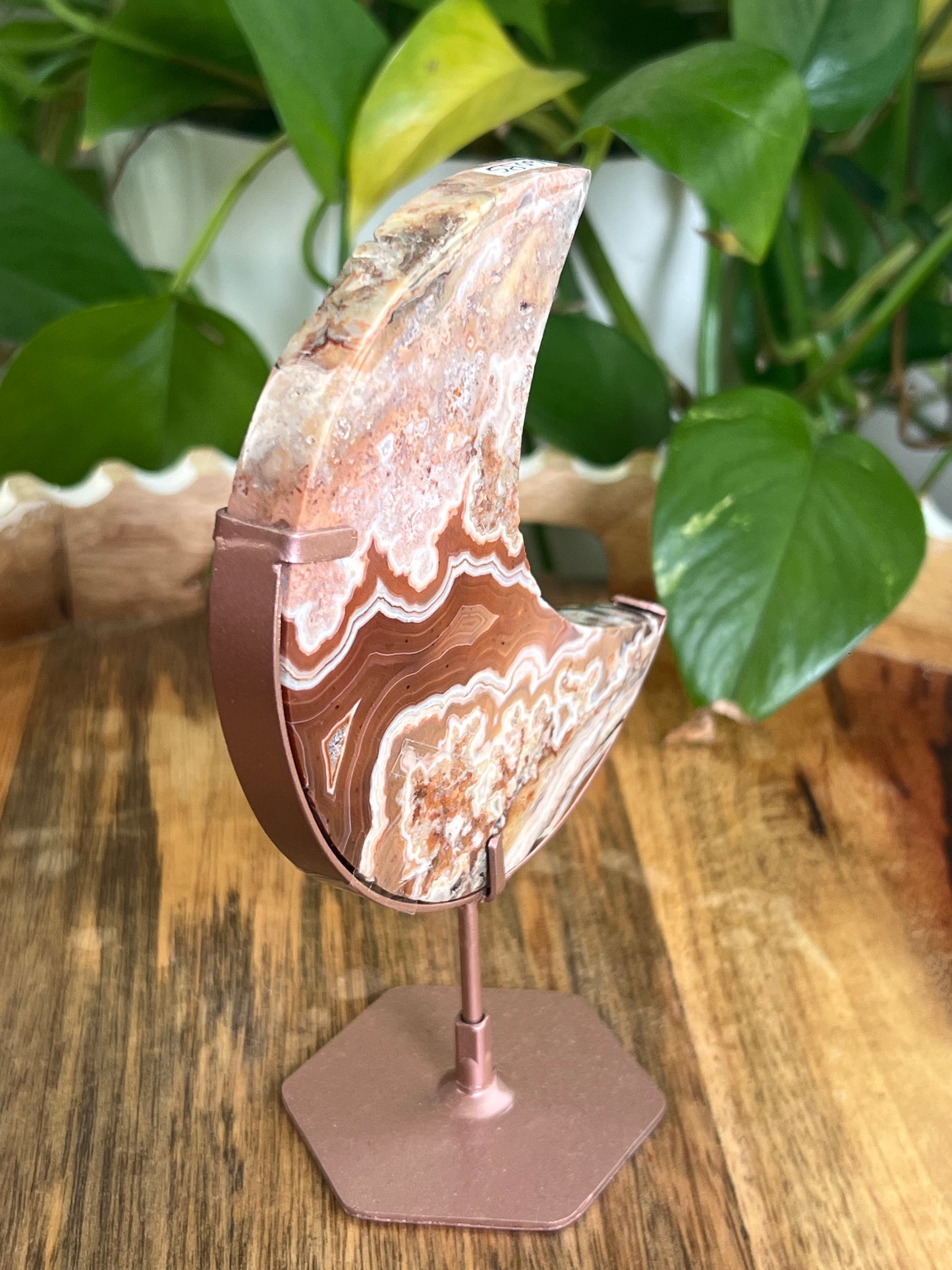 Crazy Lace Agate Moon PS