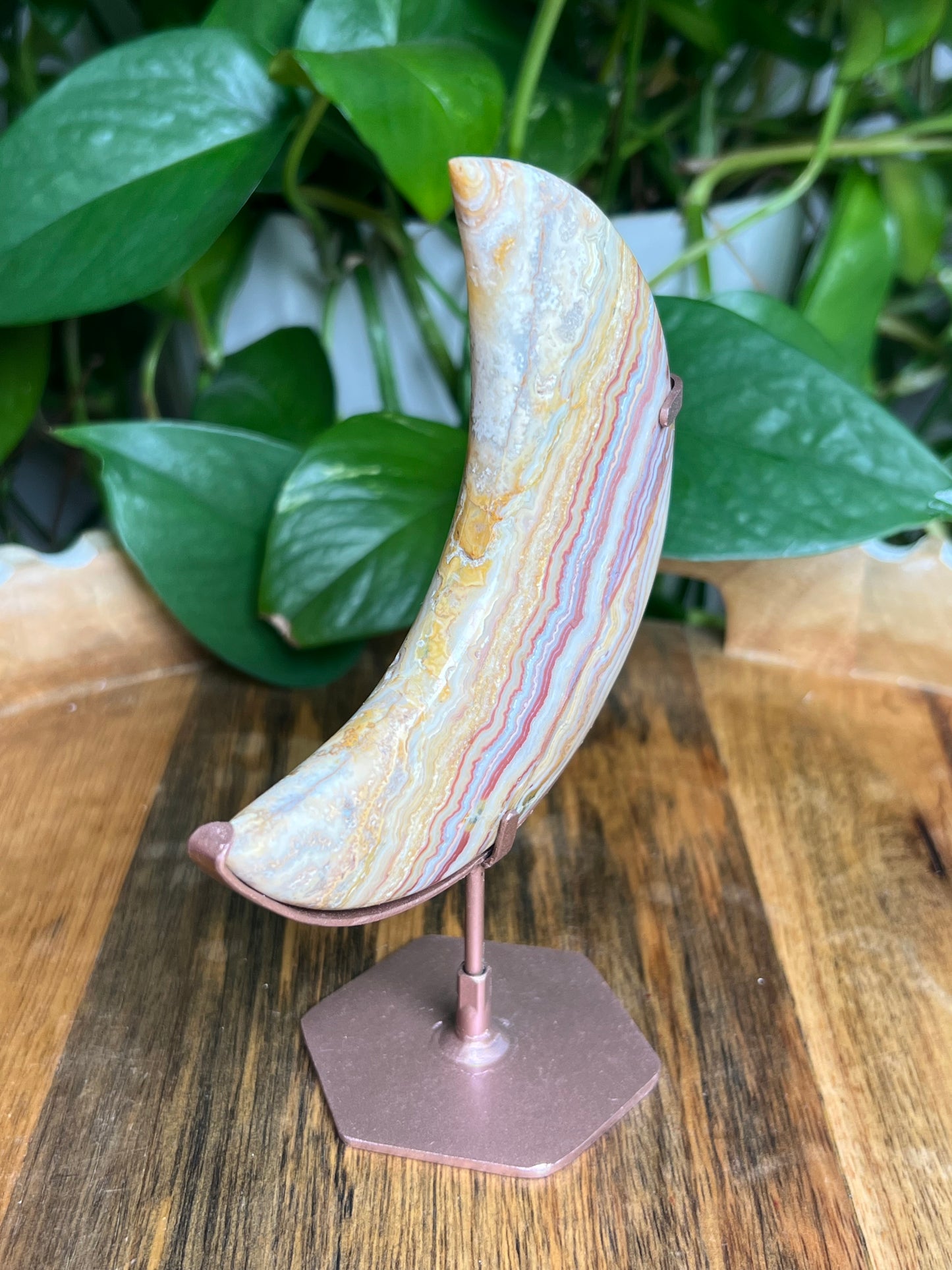 Crazy Lace Agate Moon: MA