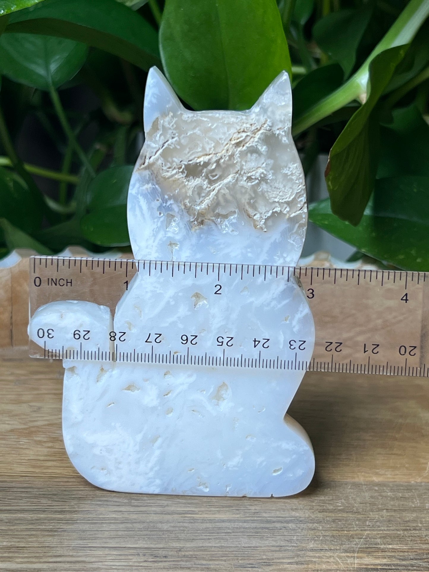 White Plume Agate Cat