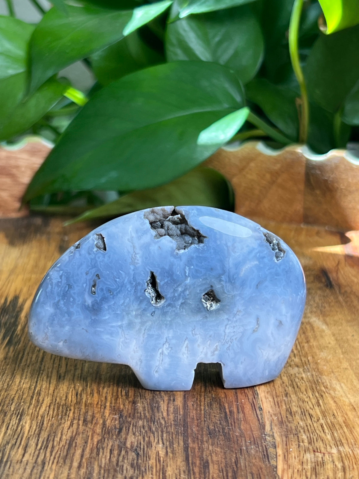 Blue Plume Agate Bear: DK