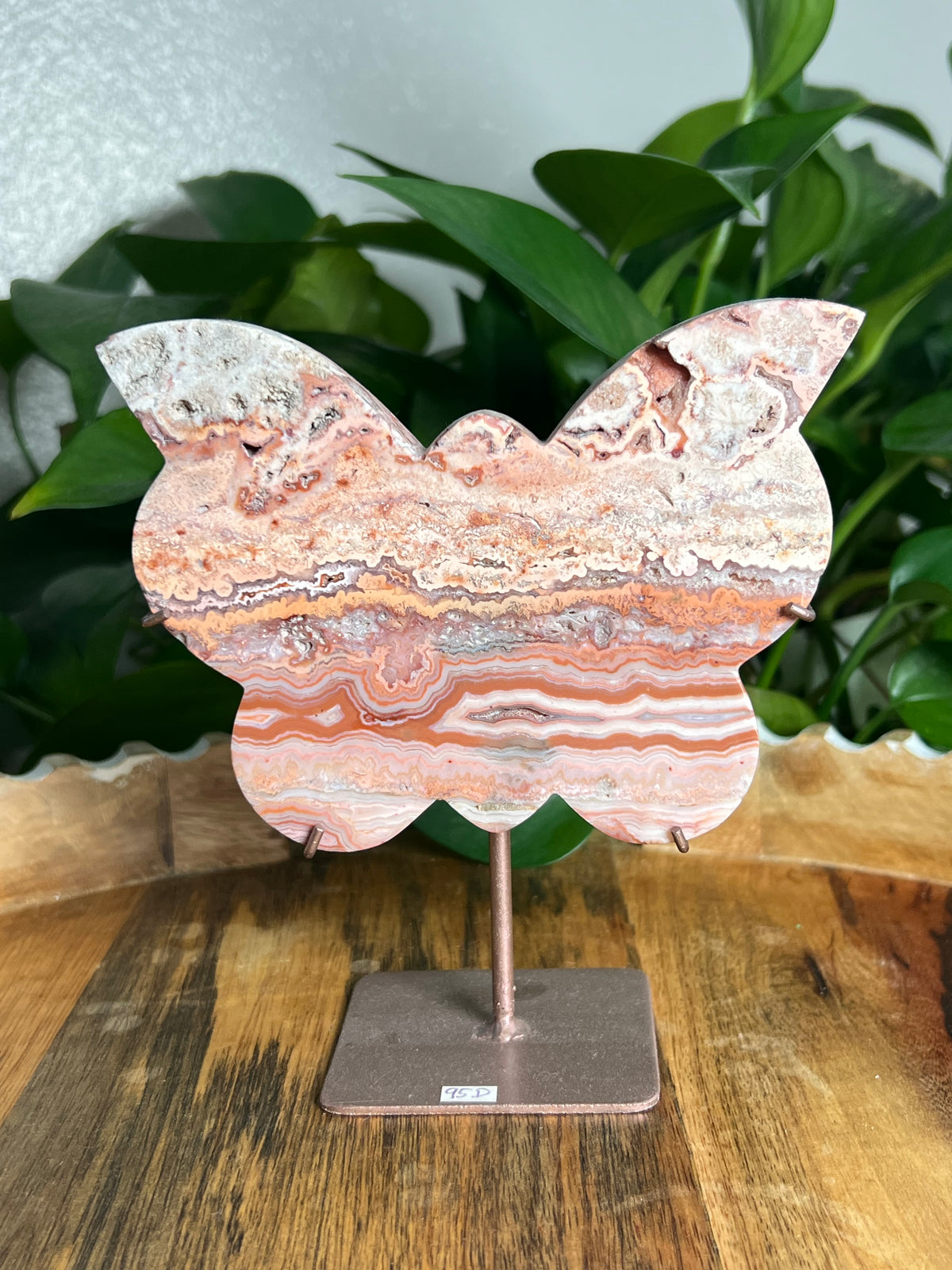 Crazy Lace Agate Butterfly: D