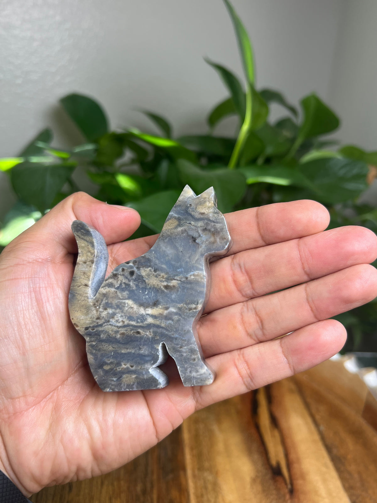 Dendritic Tiger Agate Cat: Qi