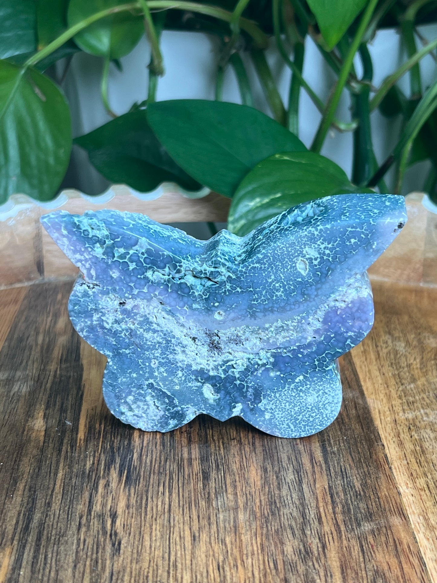 Grape Agate Butterfly: D