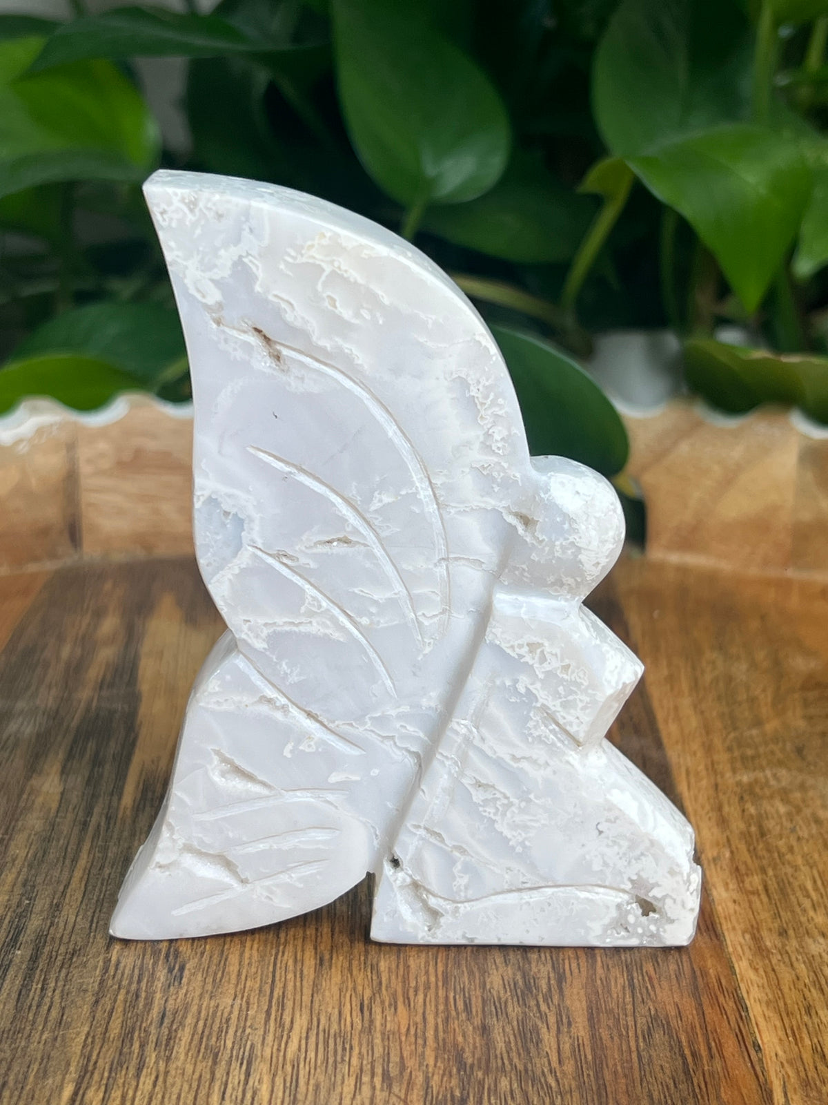 White Plume Agate Fairy: VC