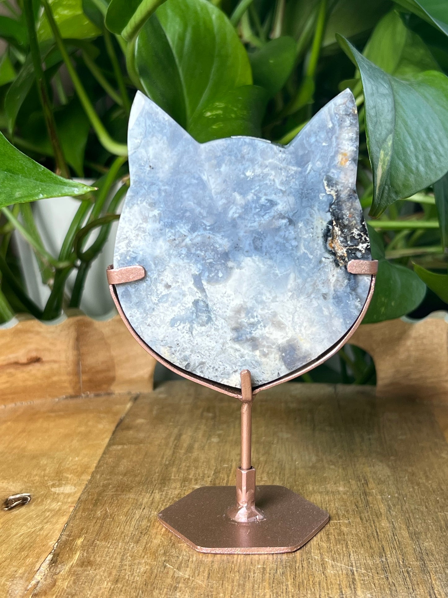 Blue Plume Agate Cat