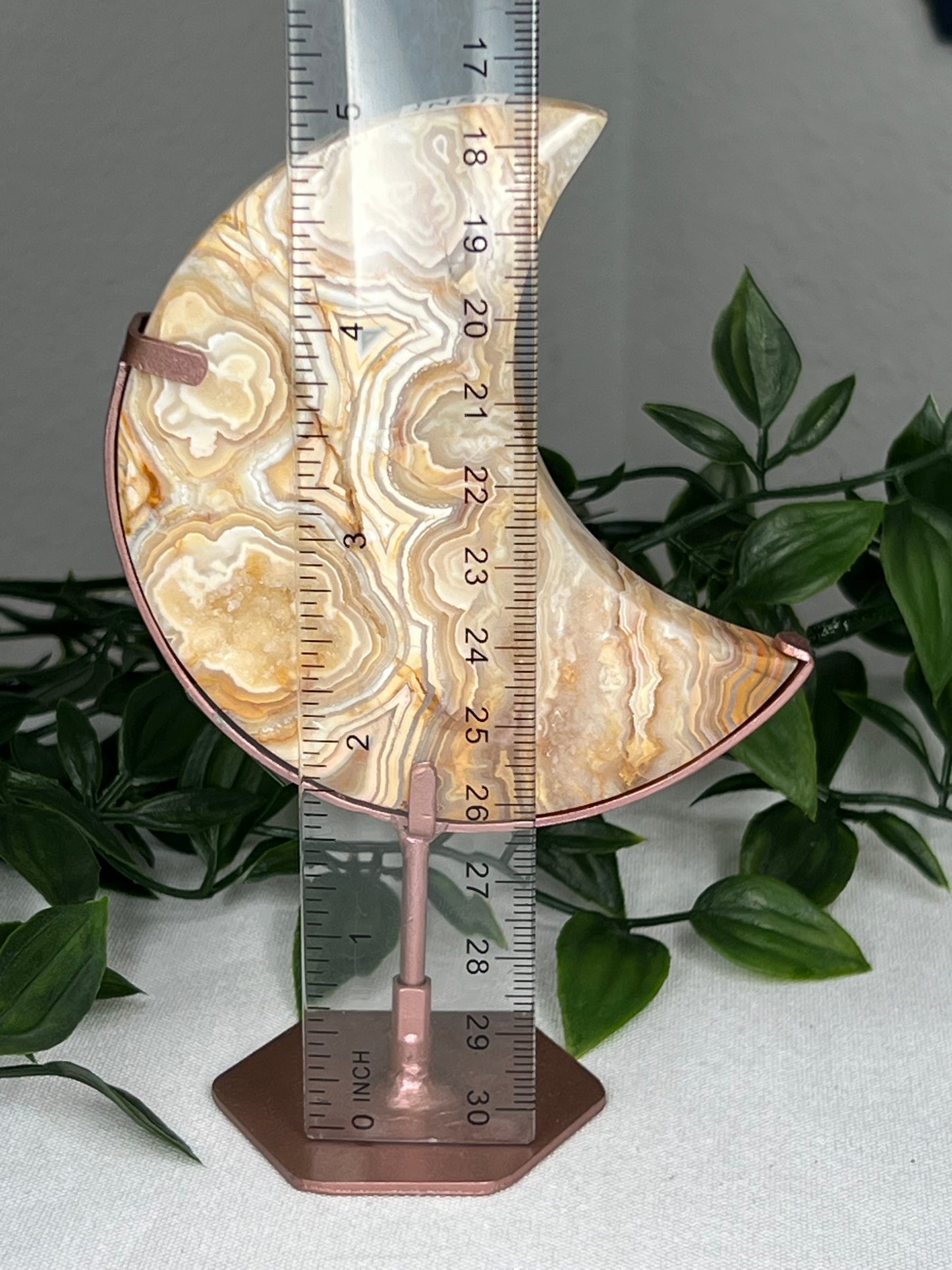 Yellow Crazy Lace Agate Moon