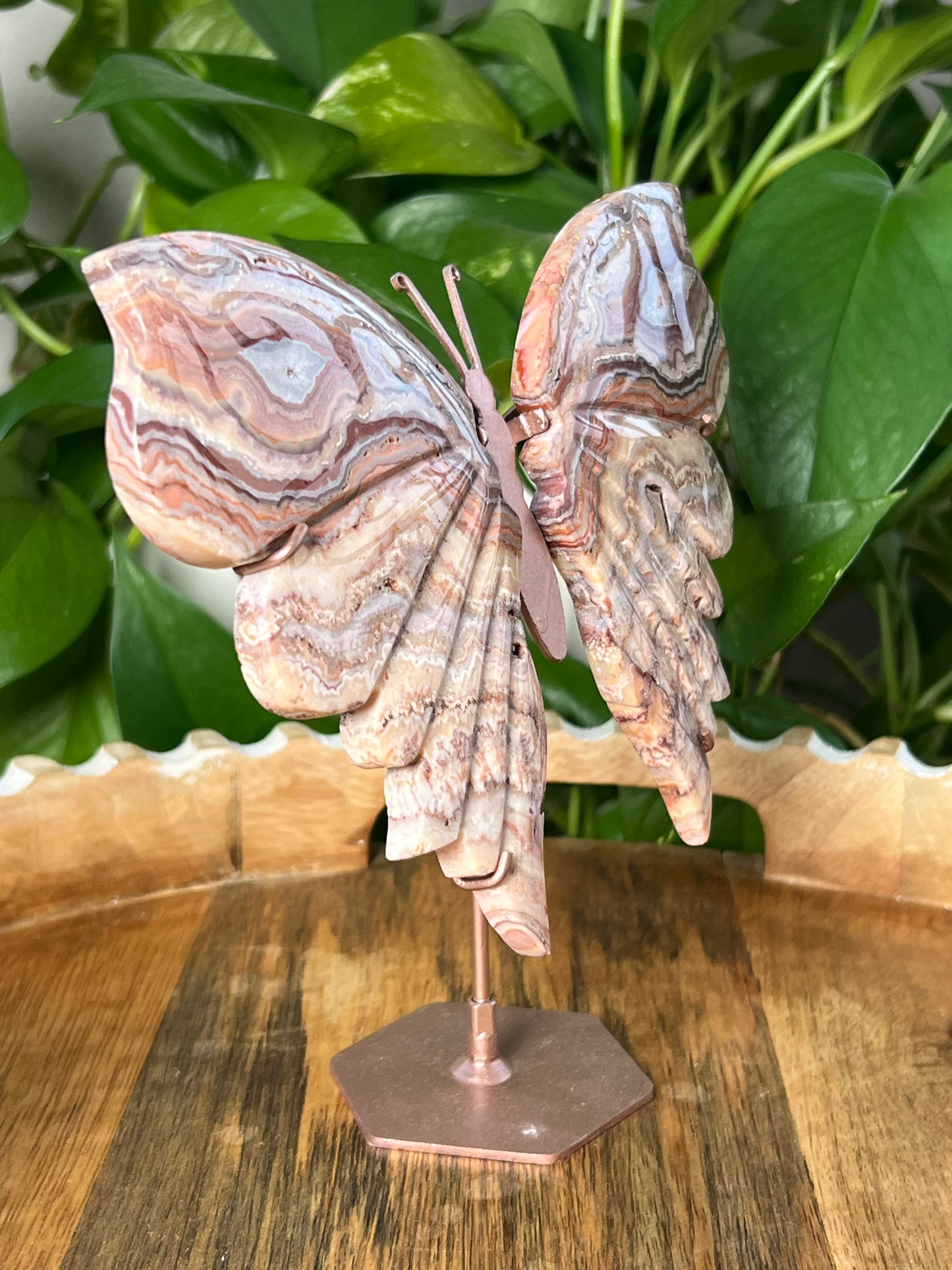 Crazy Lace Agate Wings