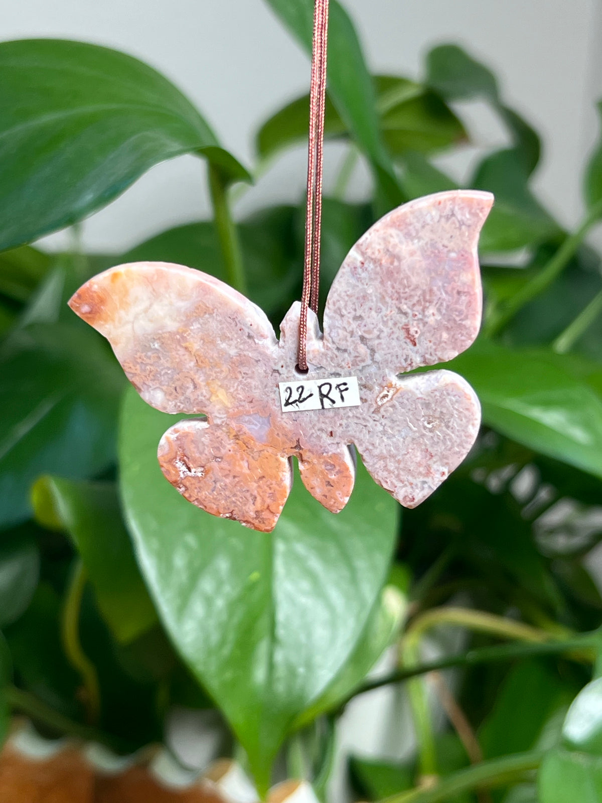 Carnelian Ornament Butterfly: RF