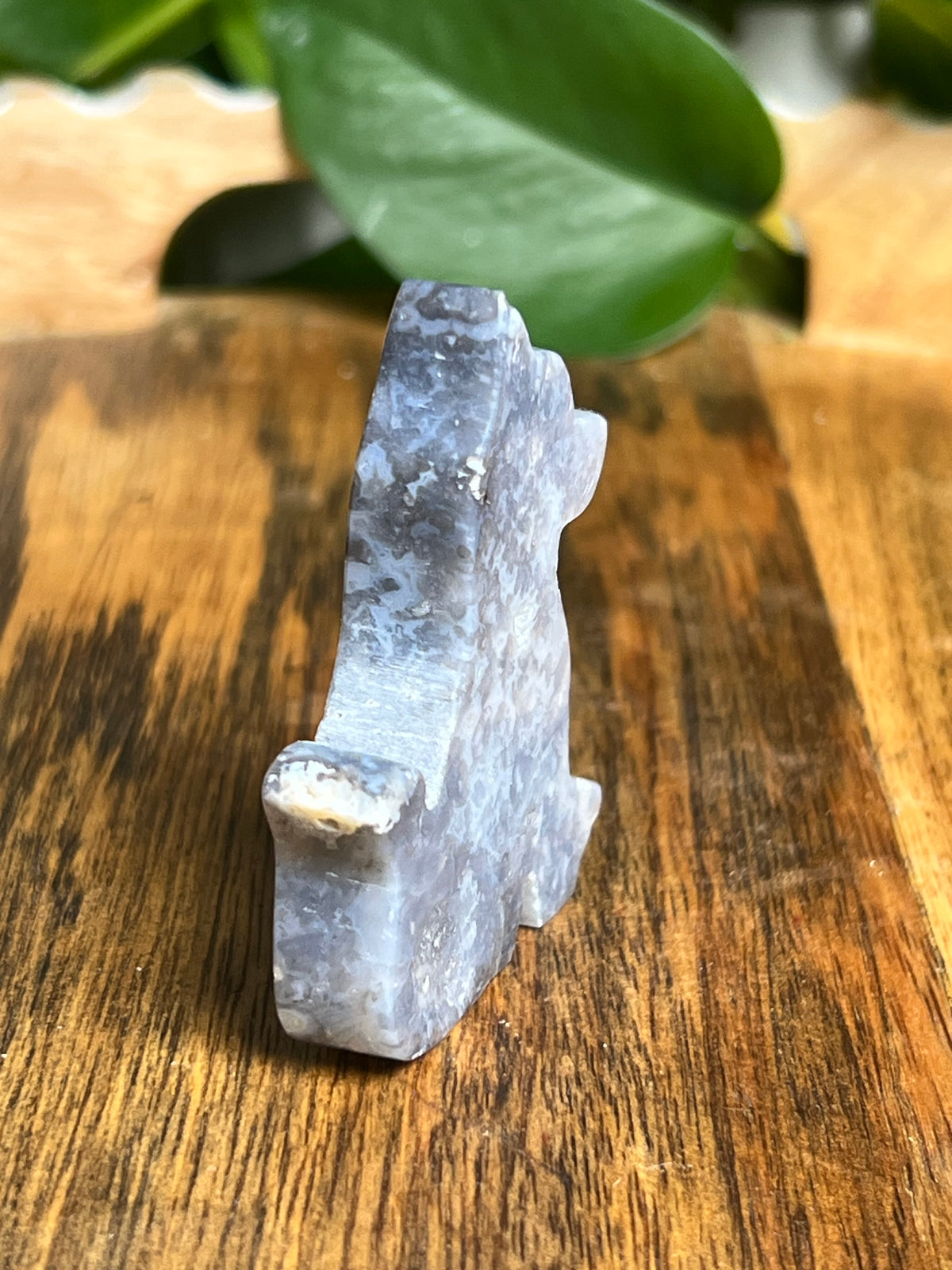 Blue Plume Agate Dog: NB