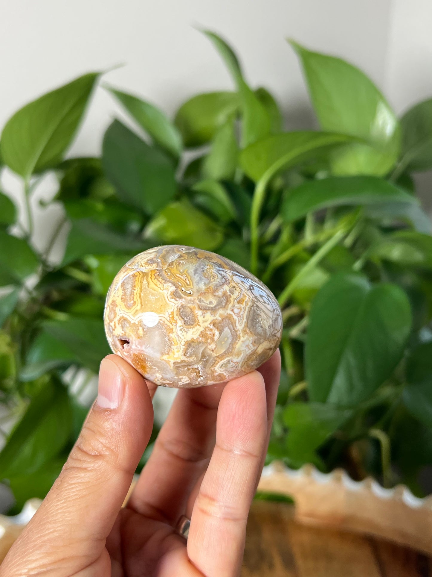 Crazy Lace Agate Egg