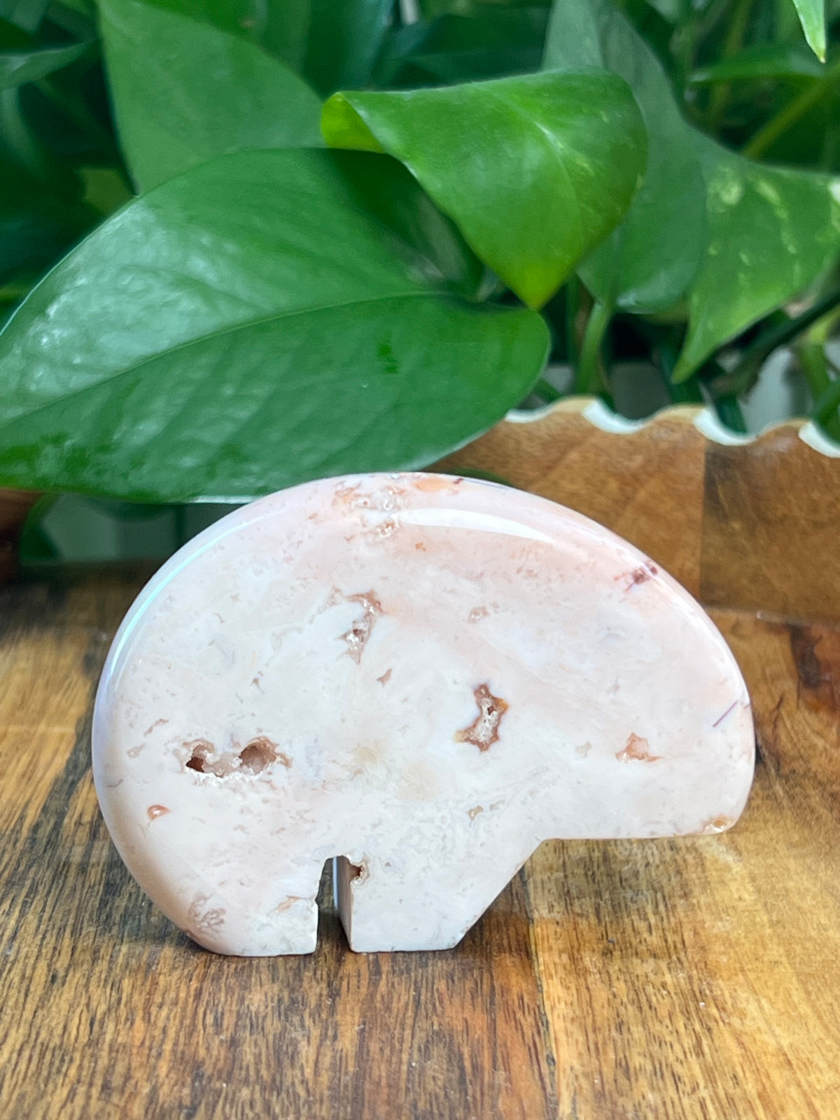 Pink Carnelian Bear: PL
