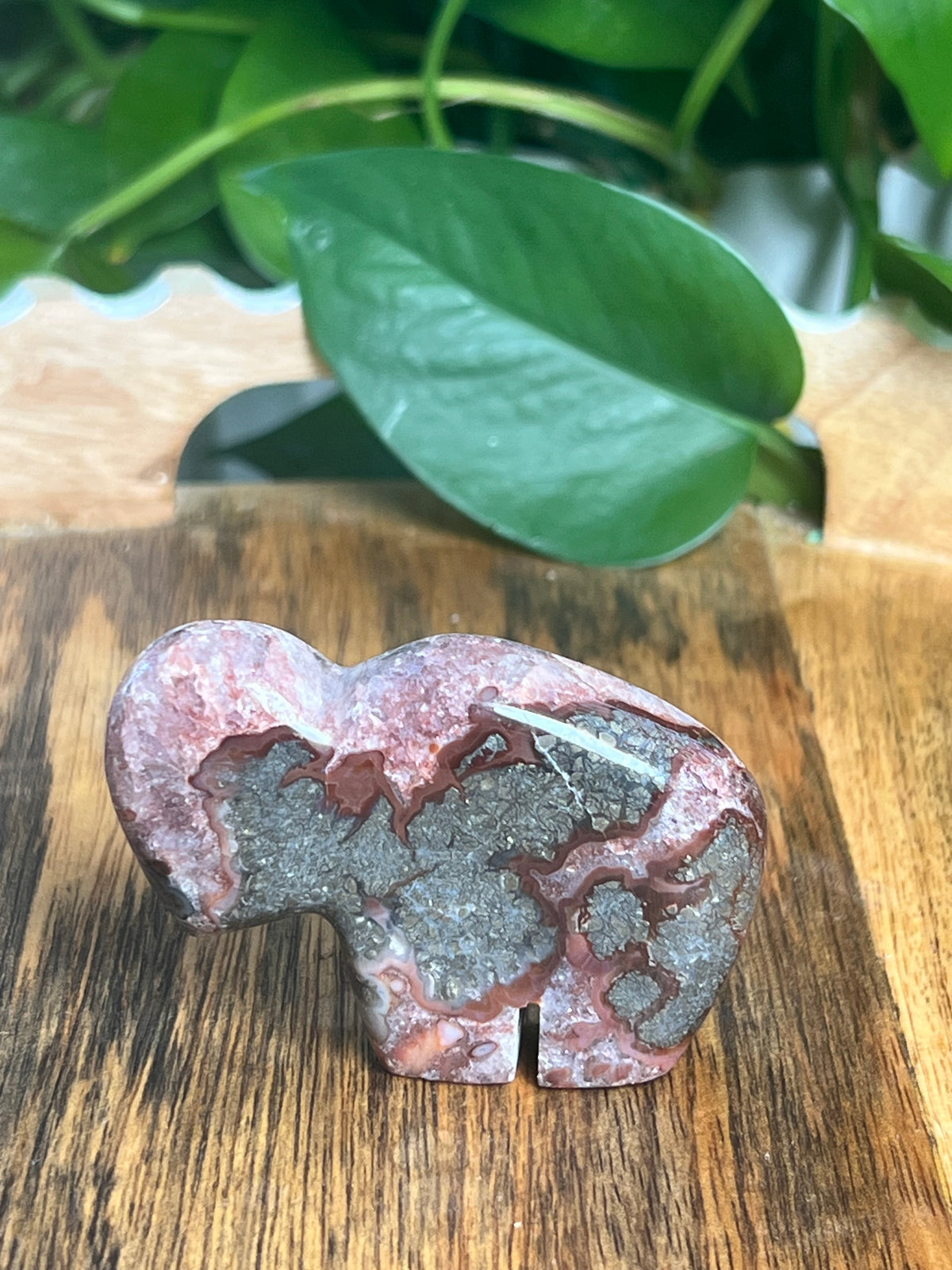Marcasite Mini Buffalo: MD