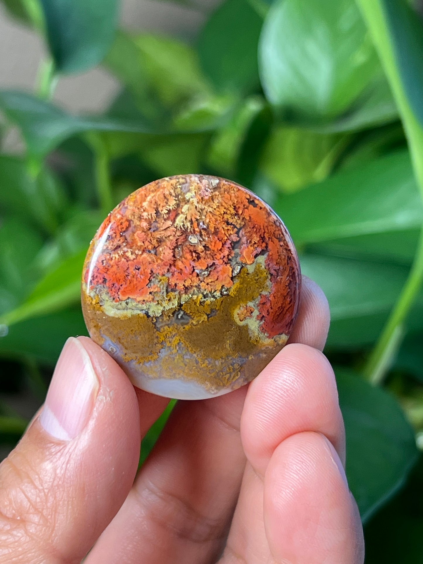 Scenic Moss Agate Cabochon