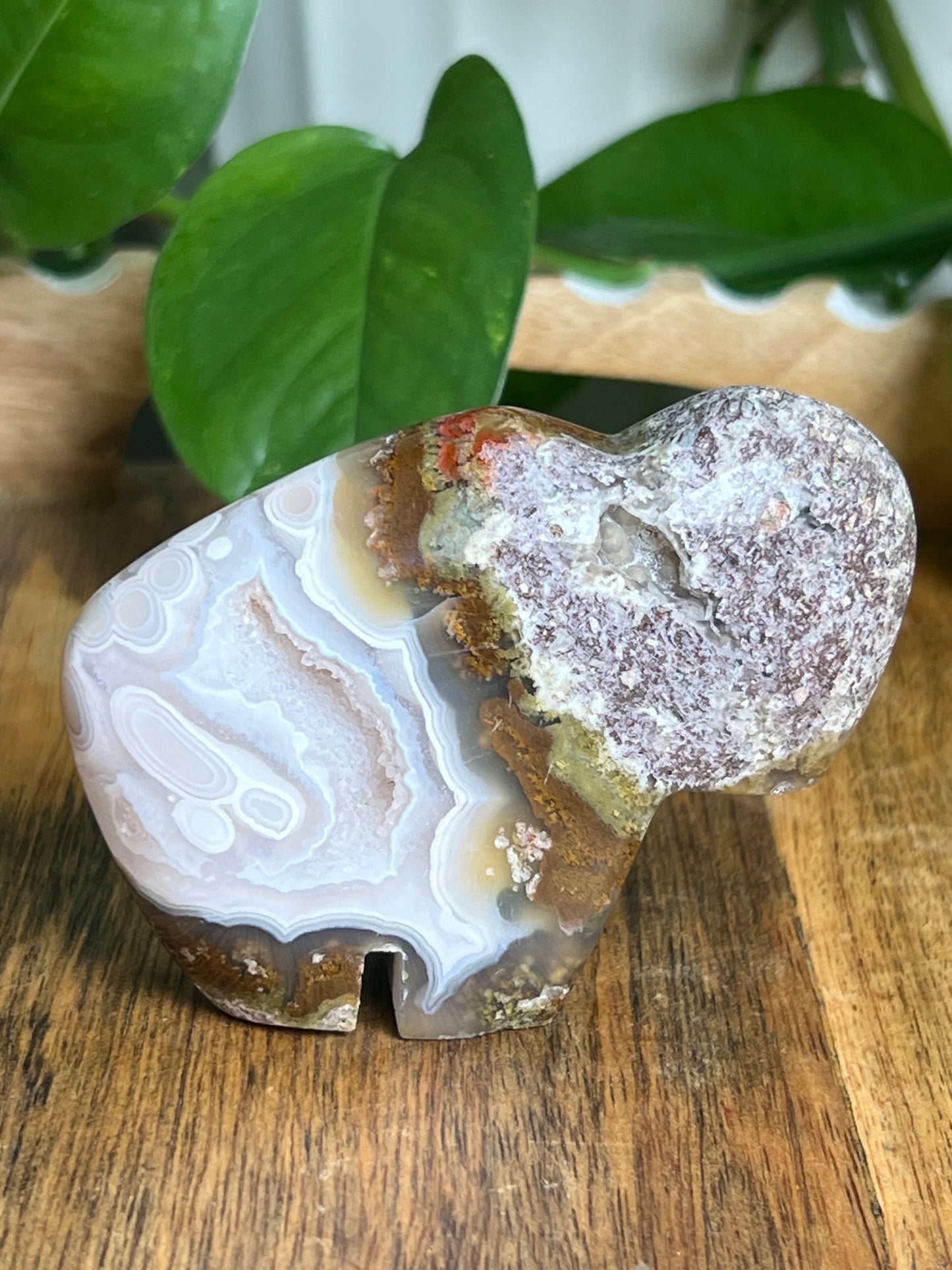 Scenic Moss Agate Buffalo N