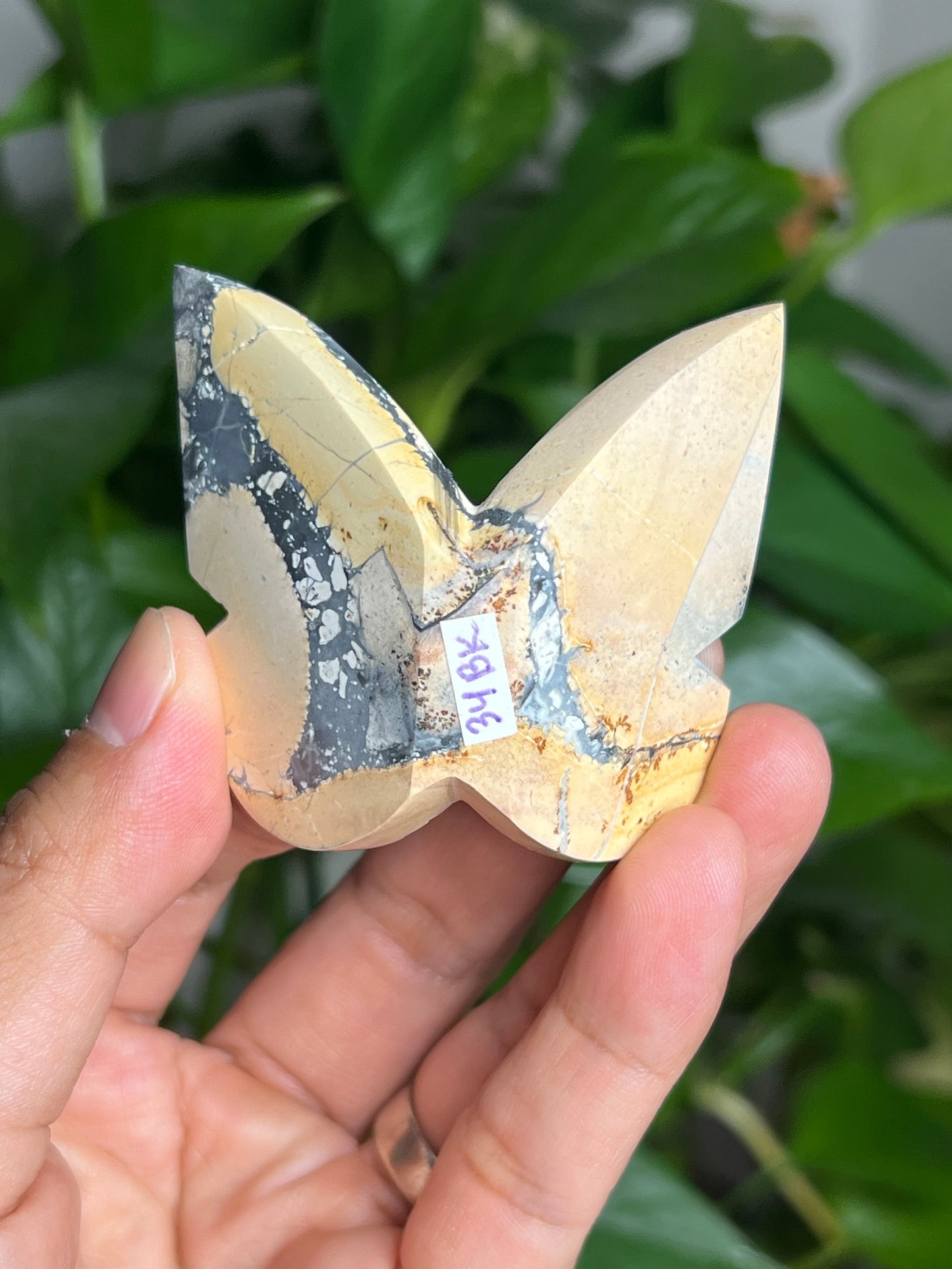 Maligano 3D Butterfly: BK