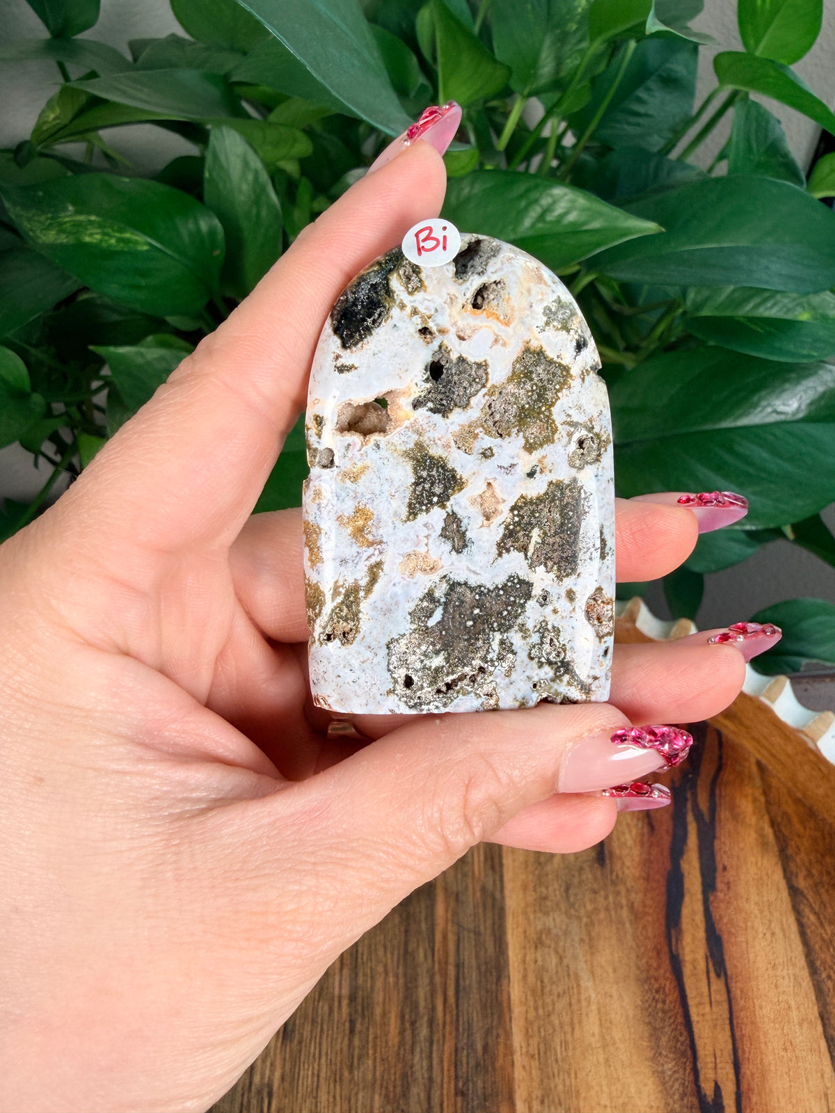 Sea Jasper Mini Freeforms