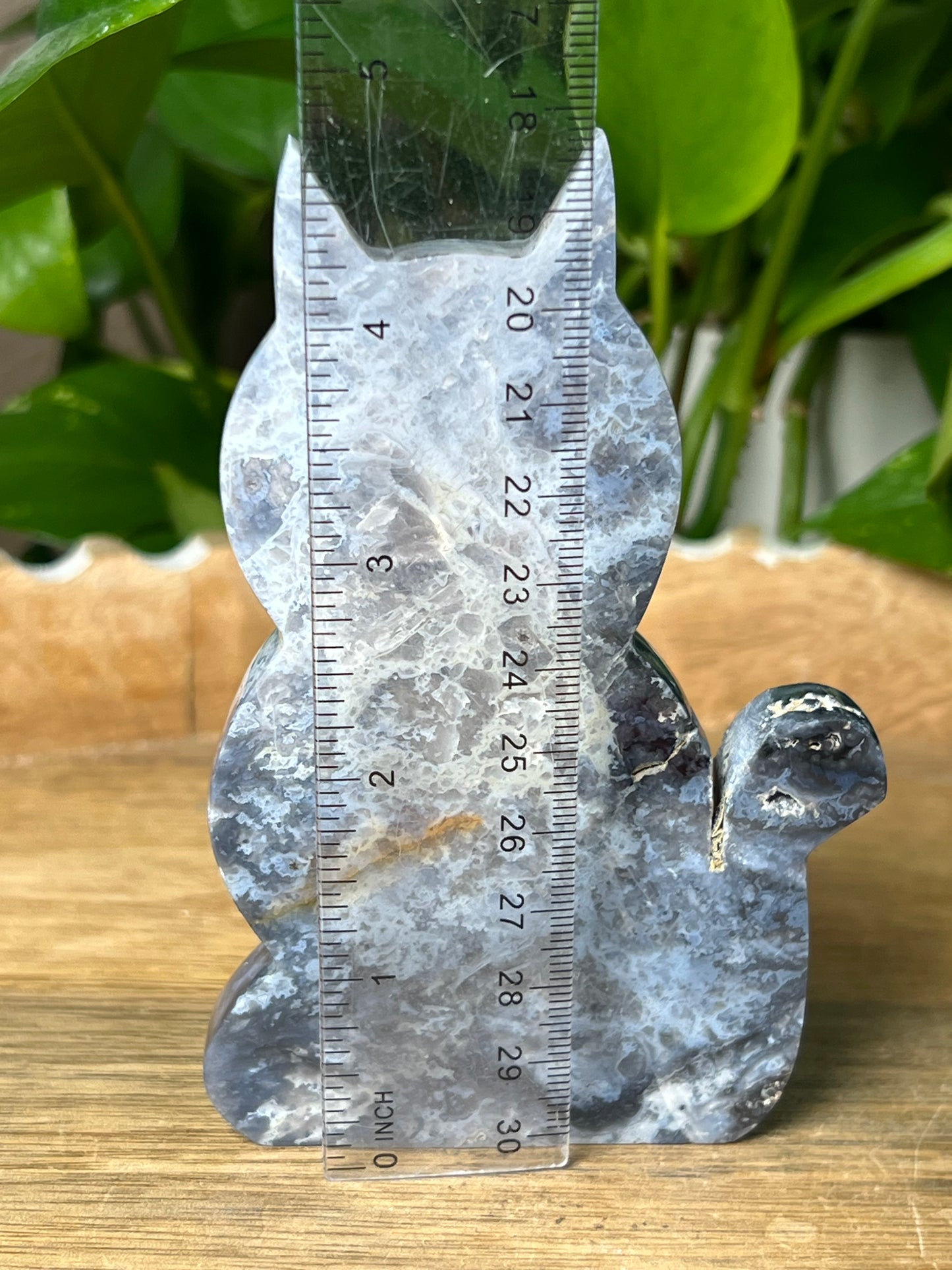 Blue Plume Agate Cat