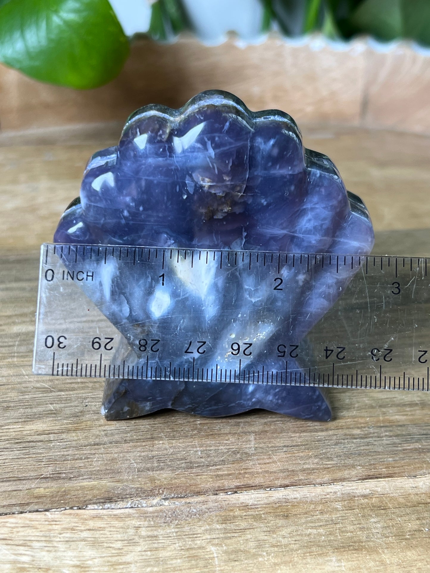 Purple Chalcedony Shell