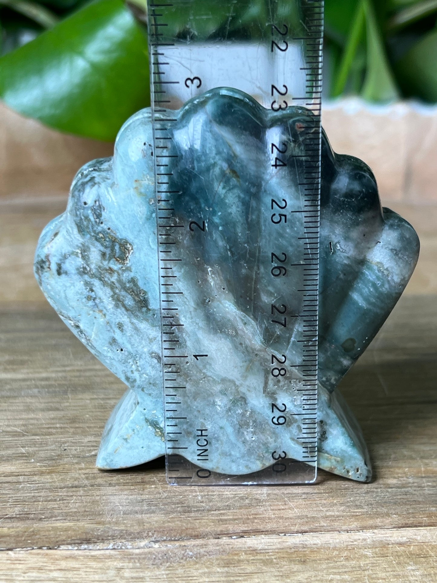 Blue Green Jasper Shell