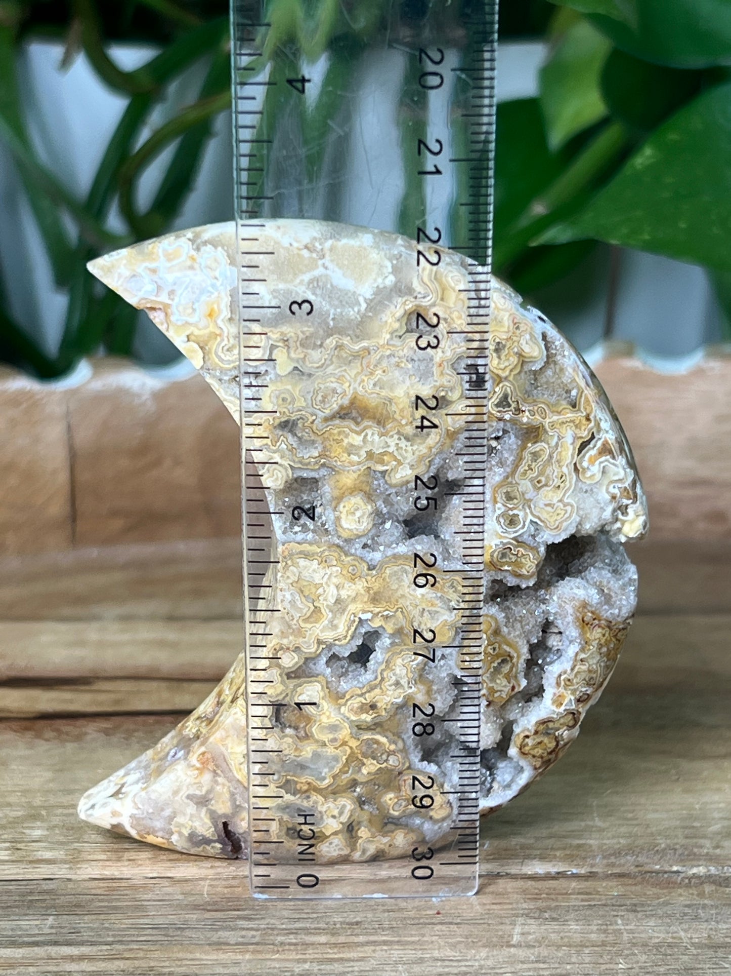 Crazy Lace Agate Moon