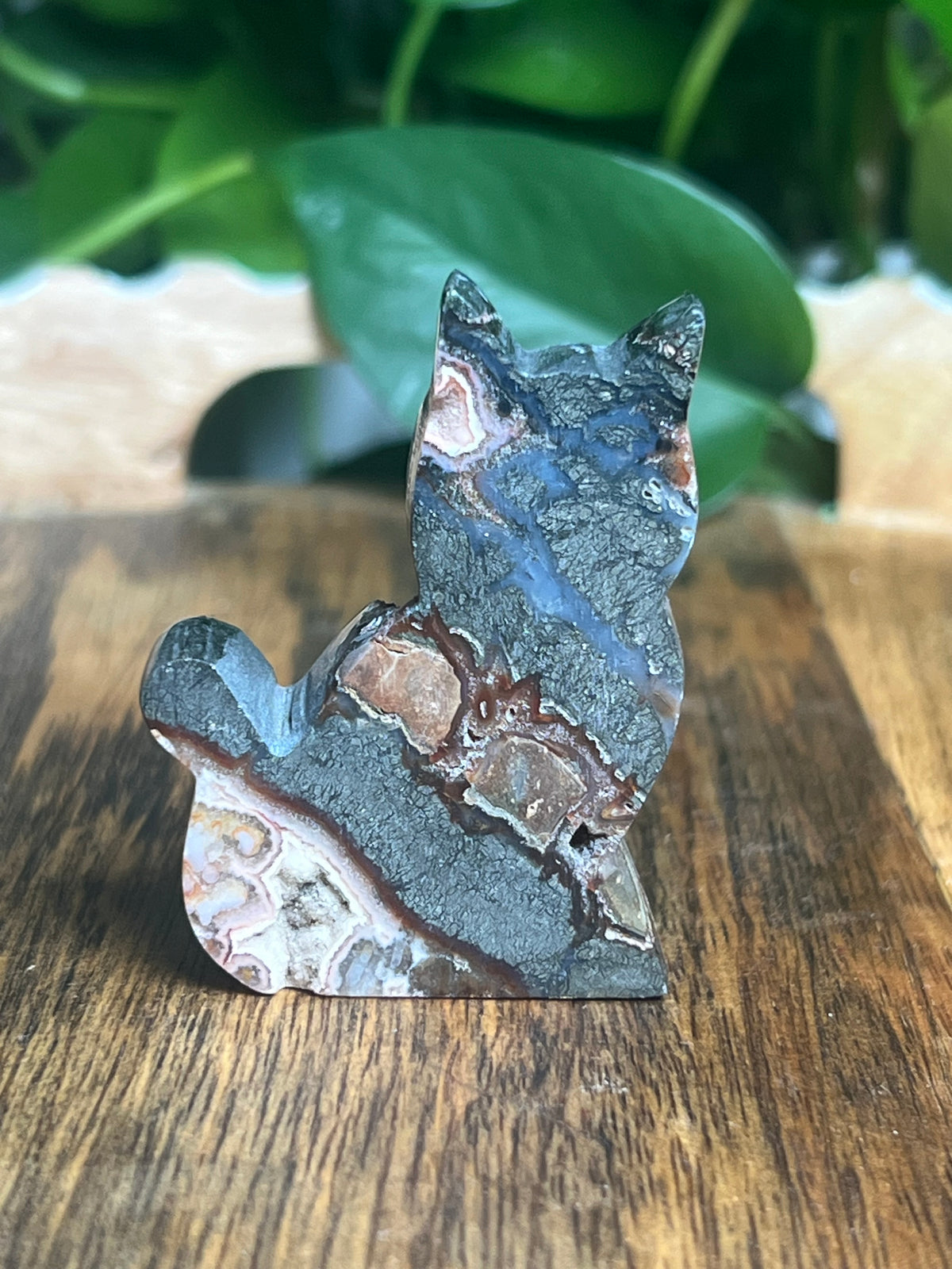 Marcasite Mini Cat: XN
