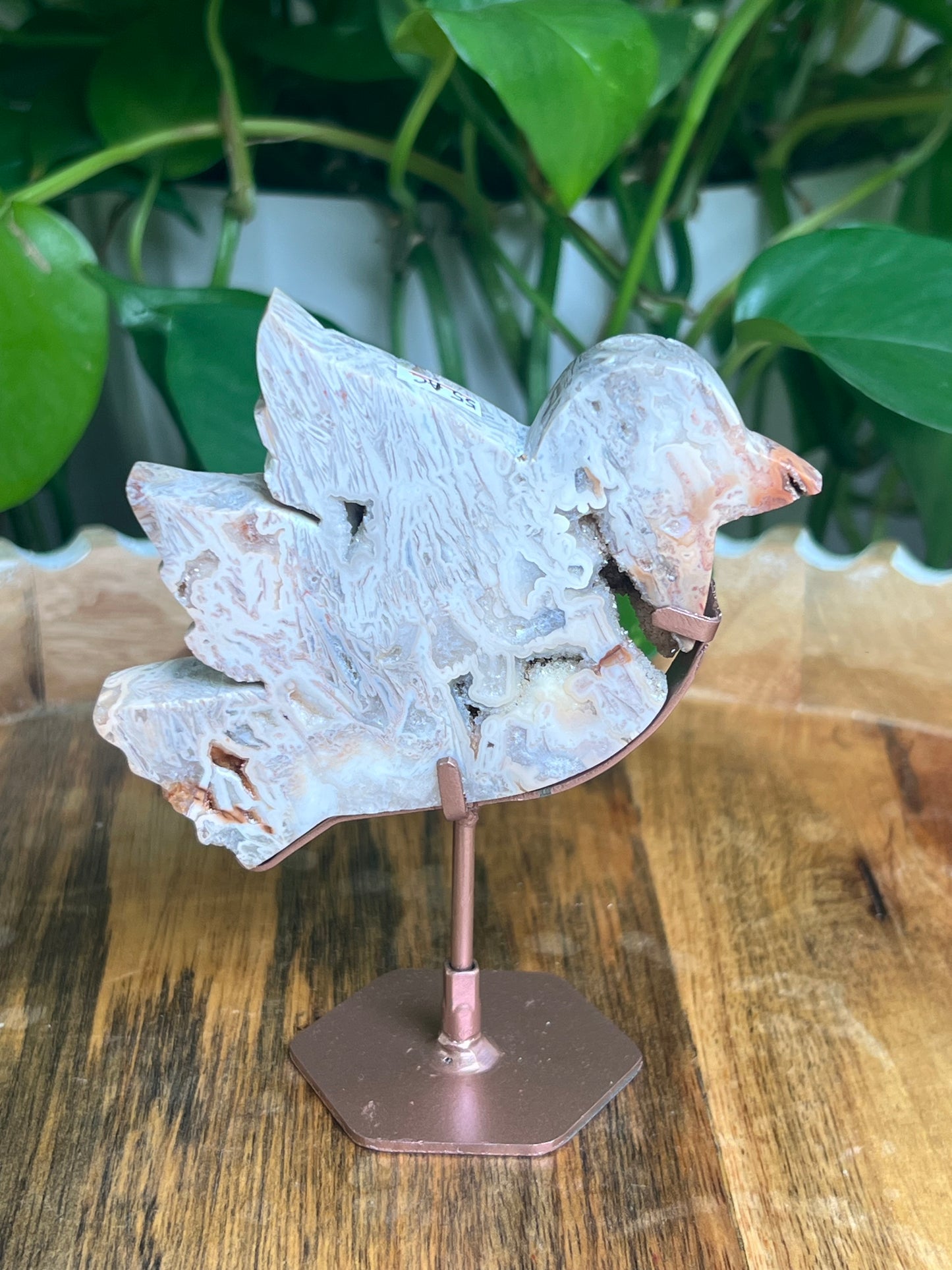 Tube Agate Bird: AC