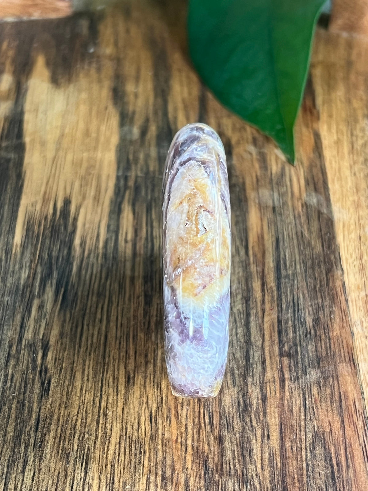 Indonesian Amethyst Bear: SQ