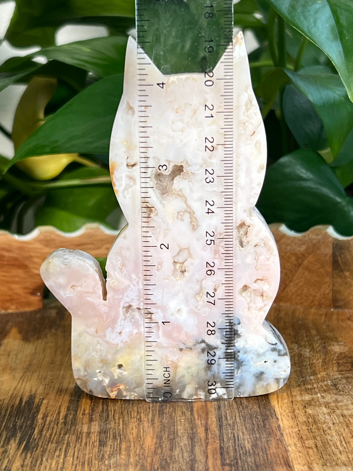 Rainbow Plume Agate Cats