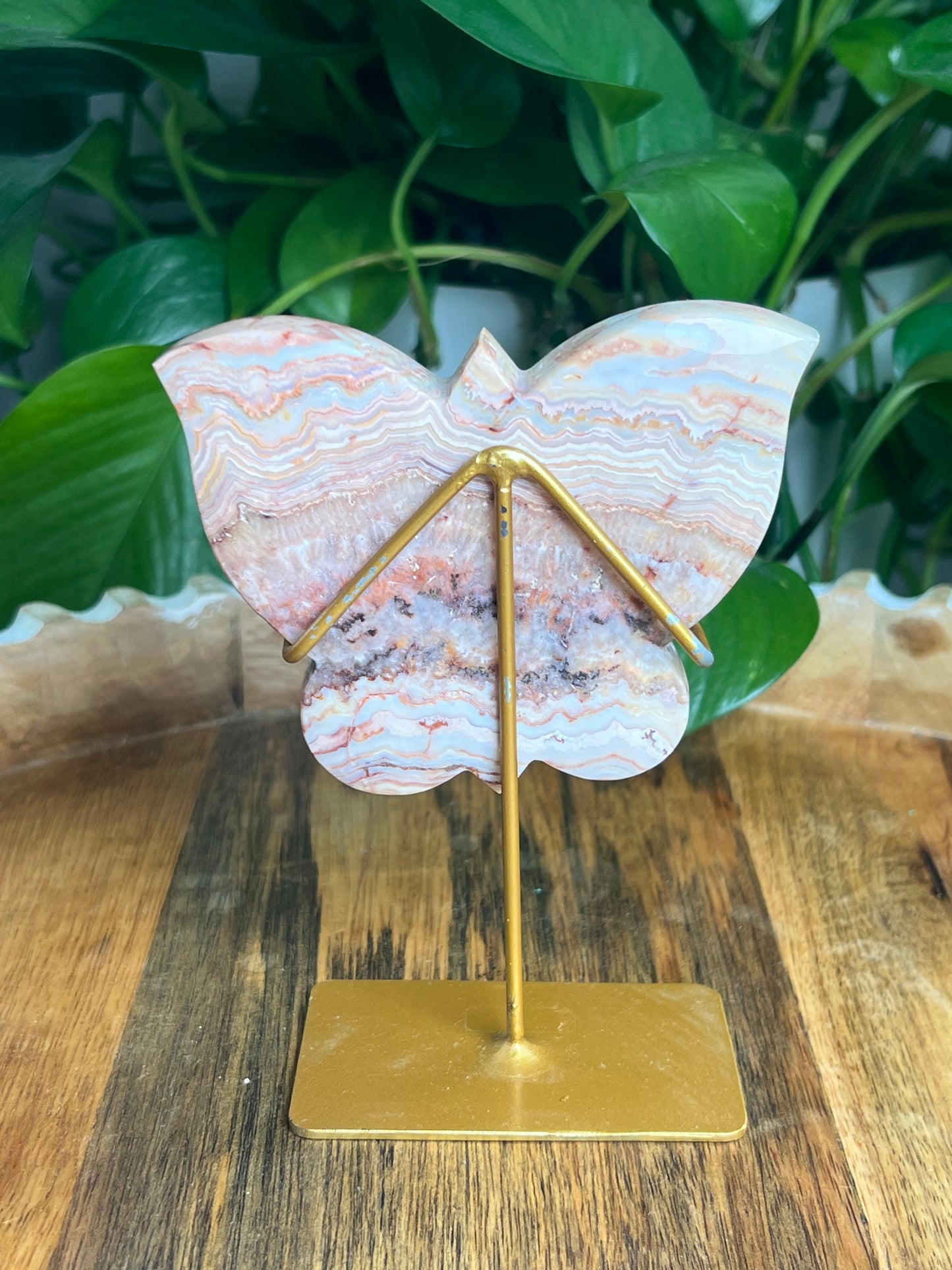 Crazy Lace Agate Butterfly: QX