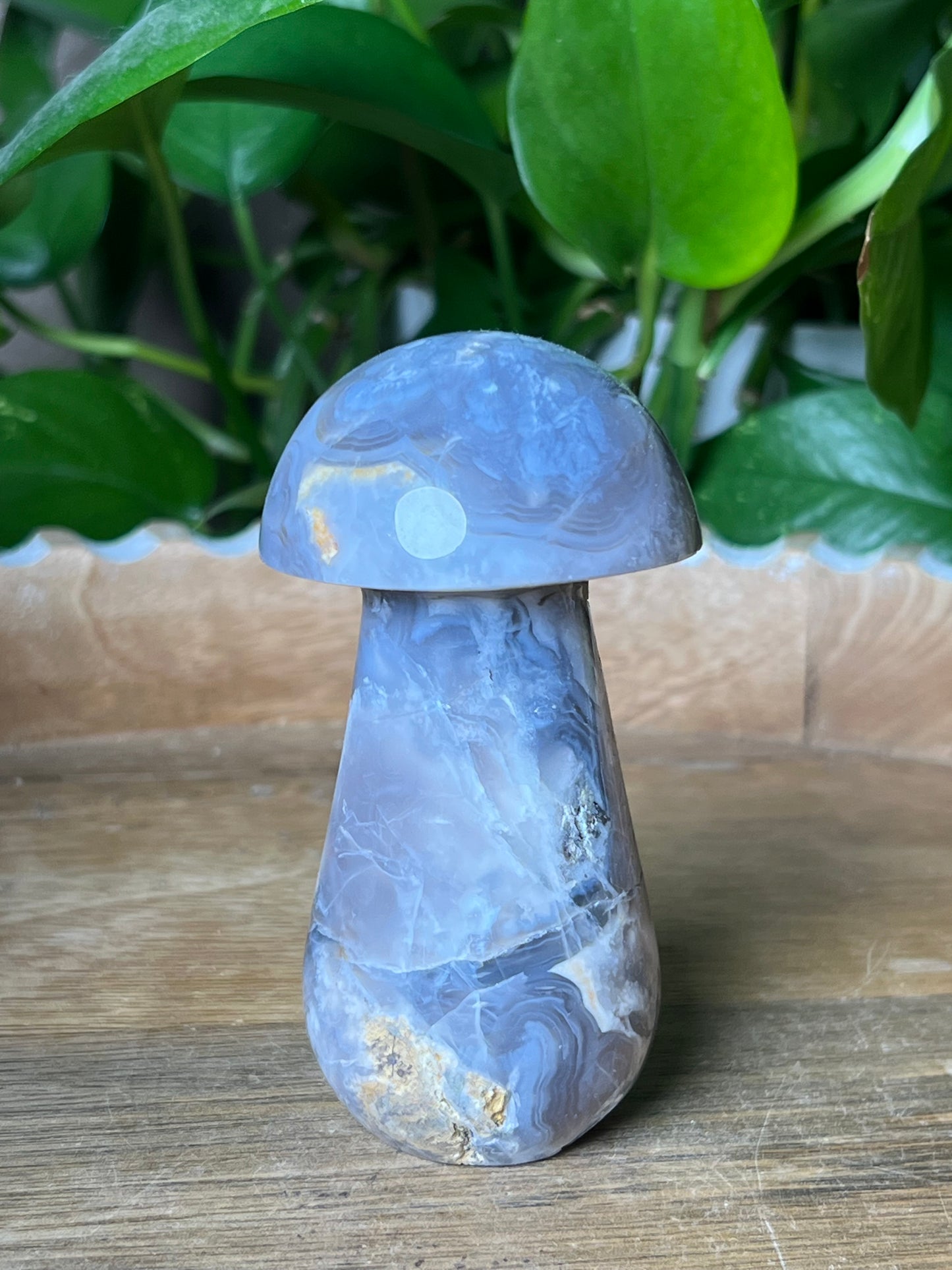 Blue Grey Lace Agate Mushroom: AB
