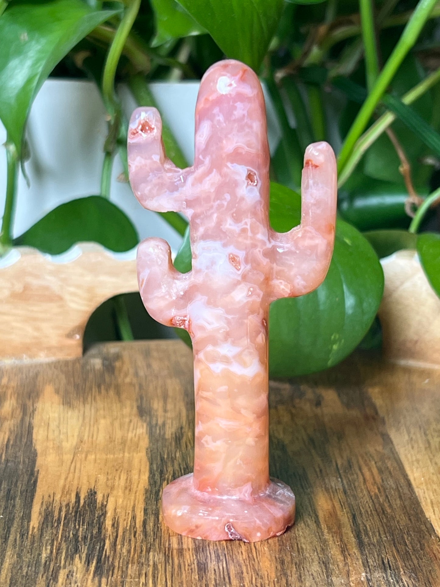 Pink Carnelian Cactus