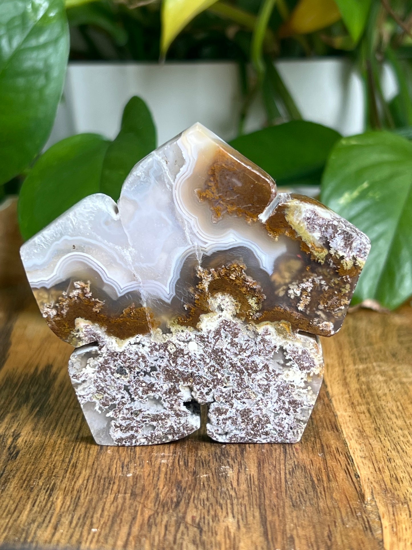 Scenic Moss Agate Flower KC