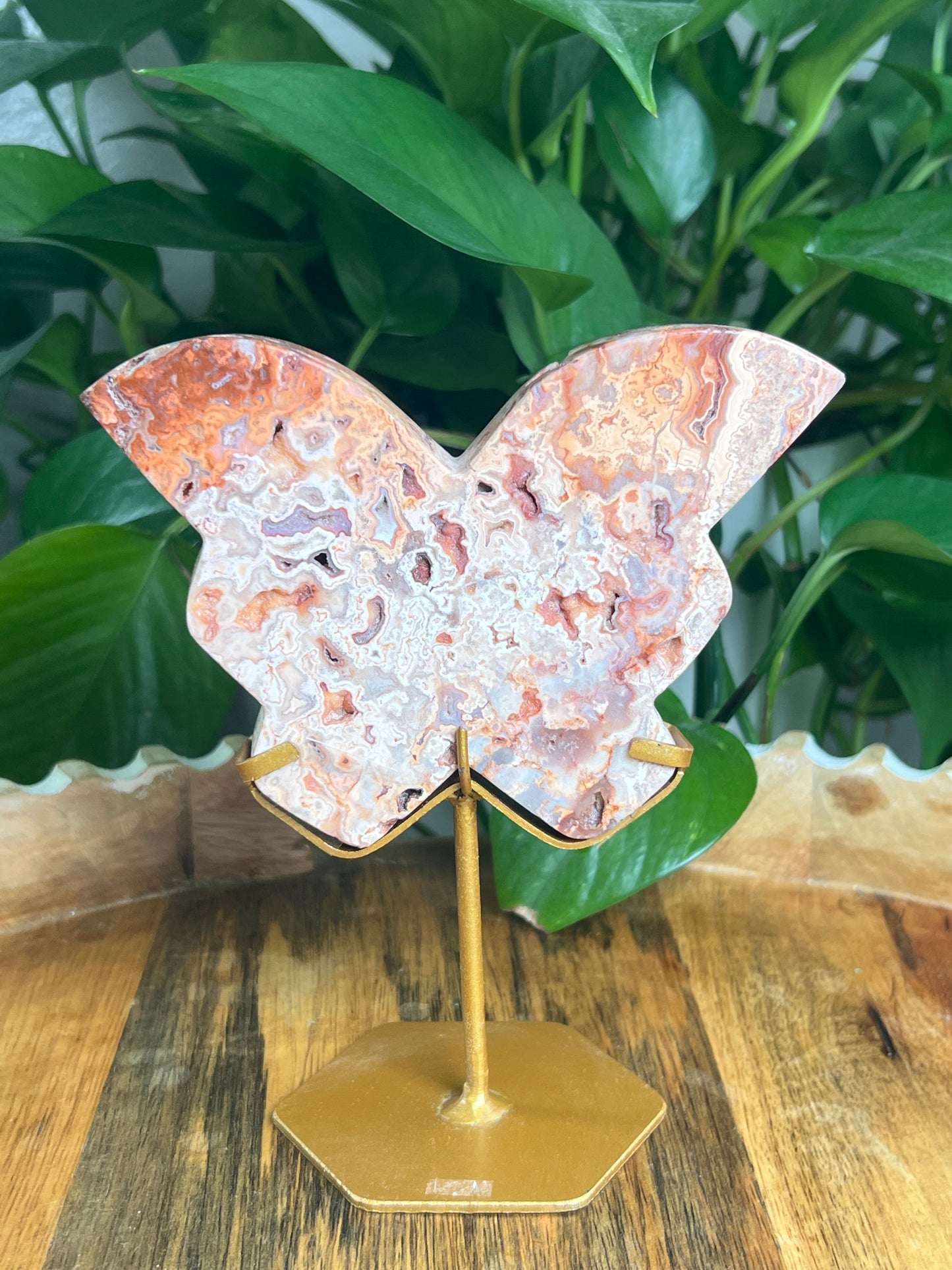 Crazy Lace Agate Butterfly: PE