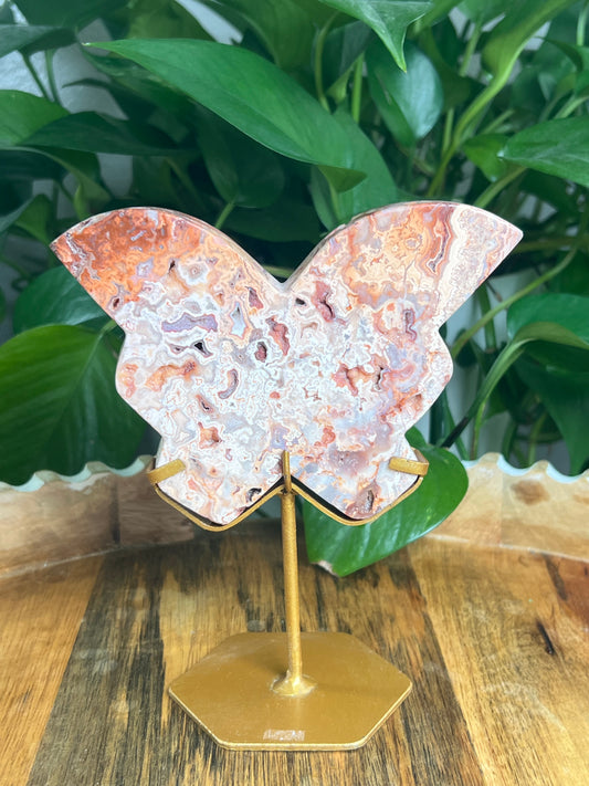 Crazy Lace Agate Butterfly: PE
