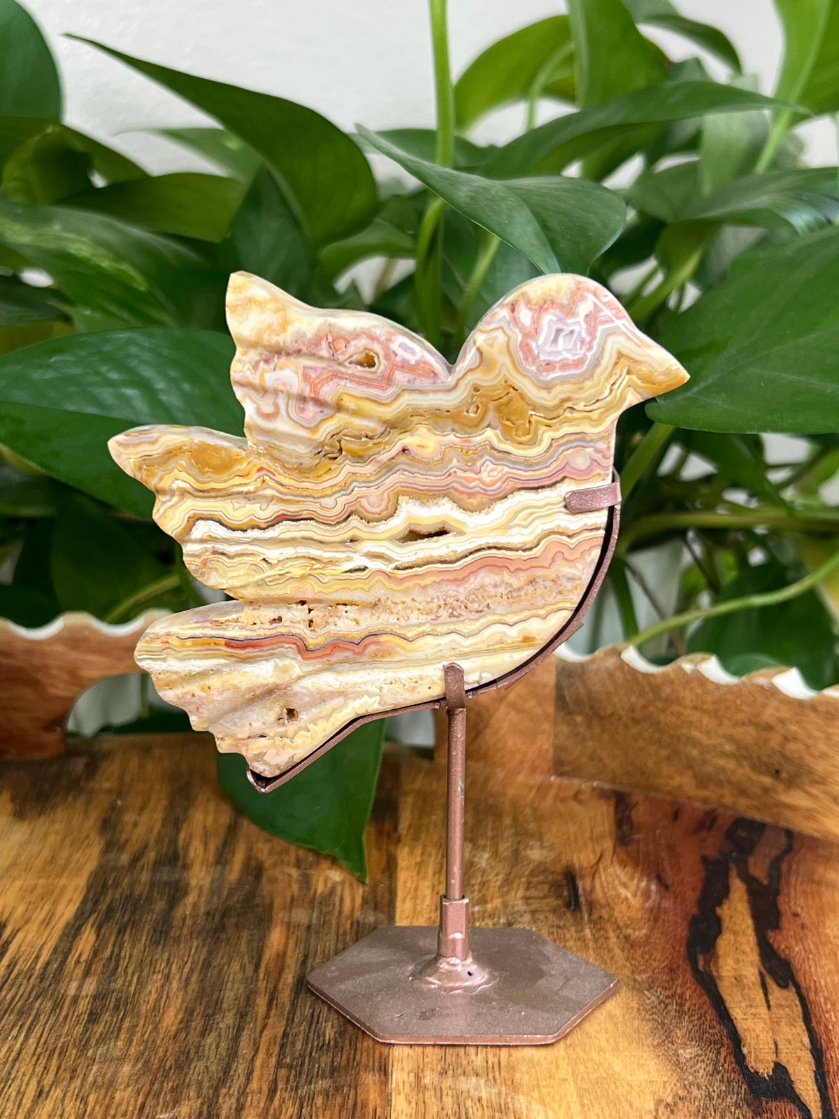 Crazy Lace Agate Birds