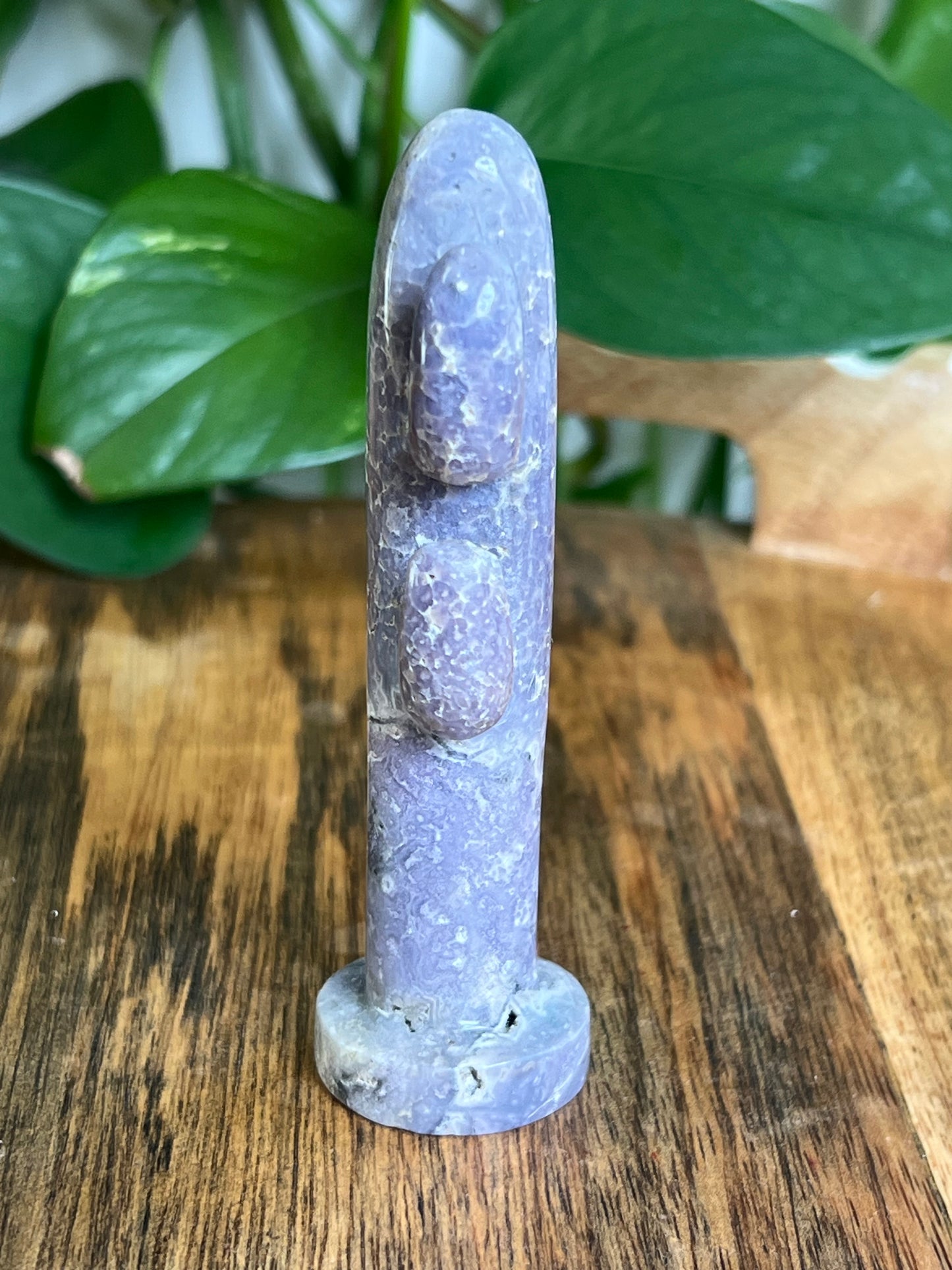 Grape Agate Cactus: AX