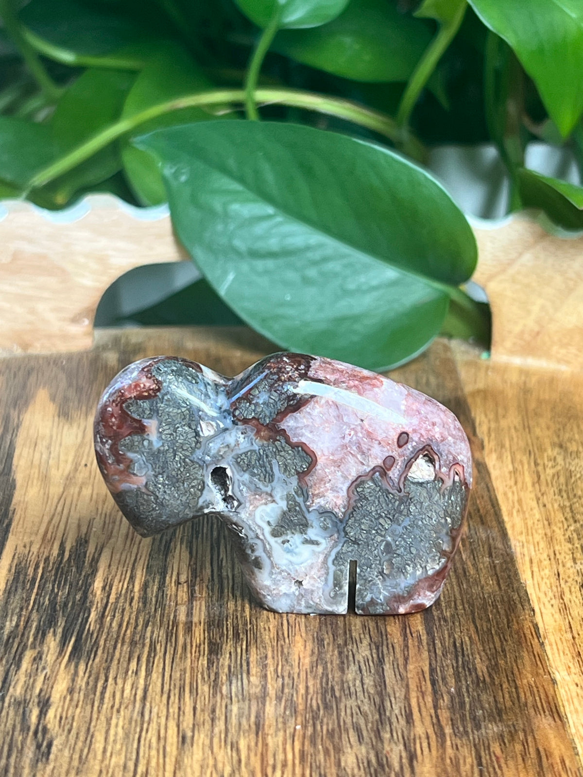 Marcasite Mini Buffalo: MB