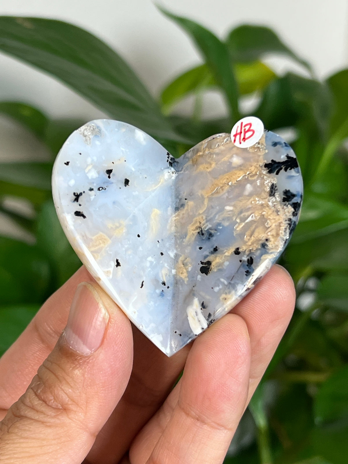 Dendritic Tiger Agate 3D Butterflies