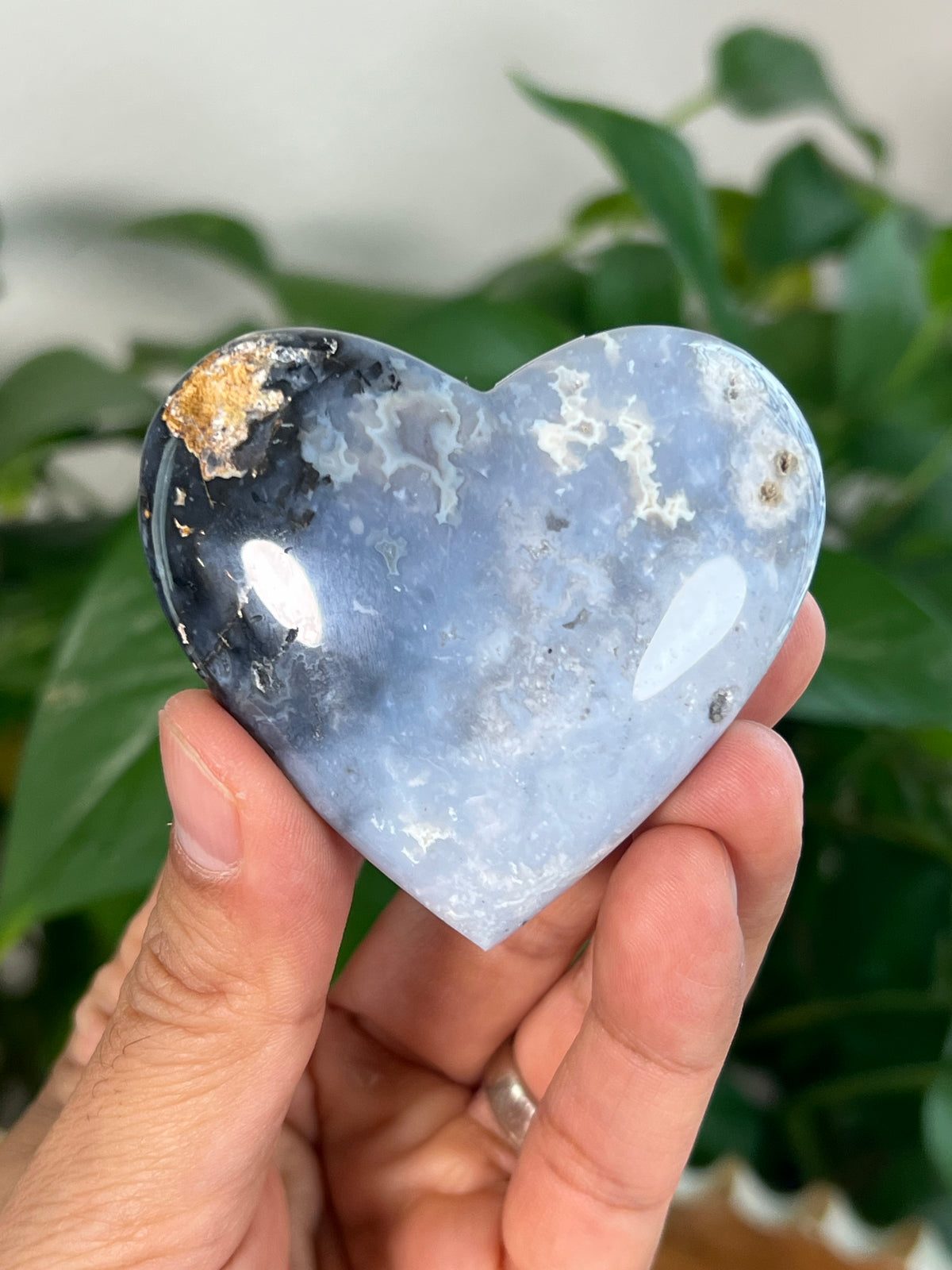 Blue Plume Agate Small Hearts