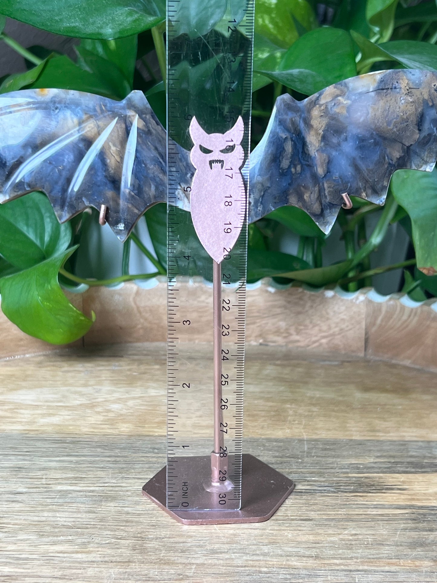 Dendritic Tiger Agate Bat Wings