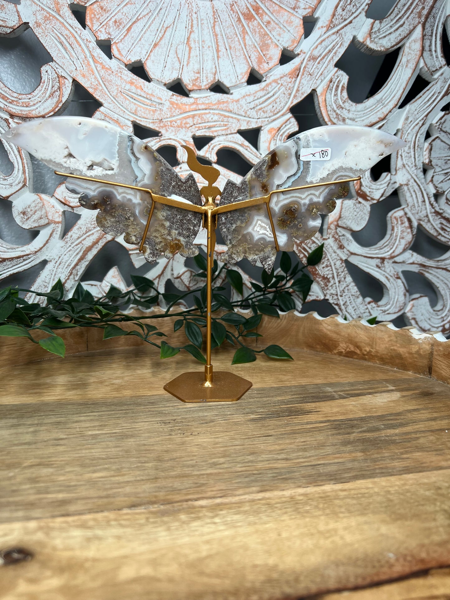 Scenic Moss Agate Wings