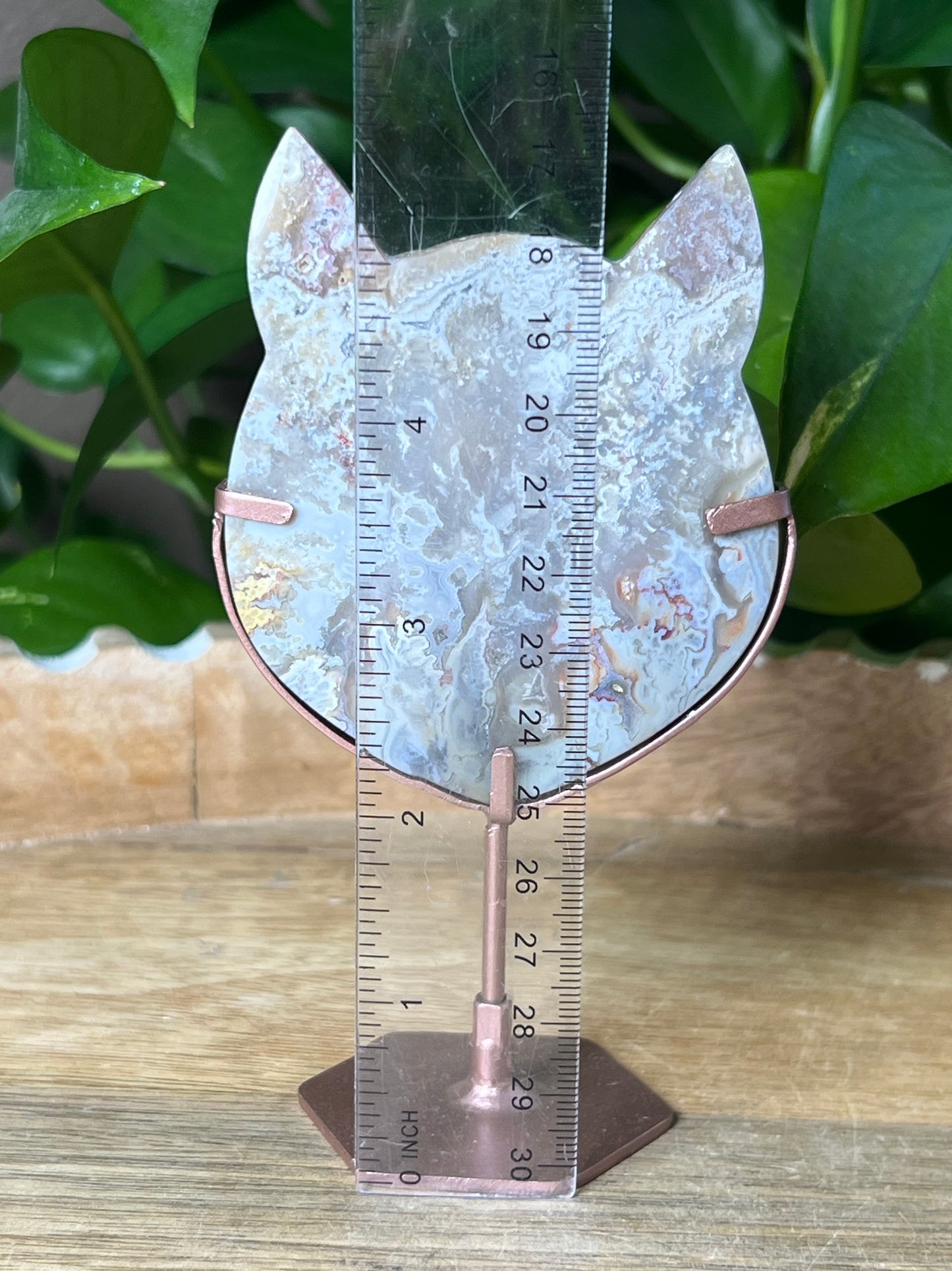 Sumatra Plume Agate Cat Head