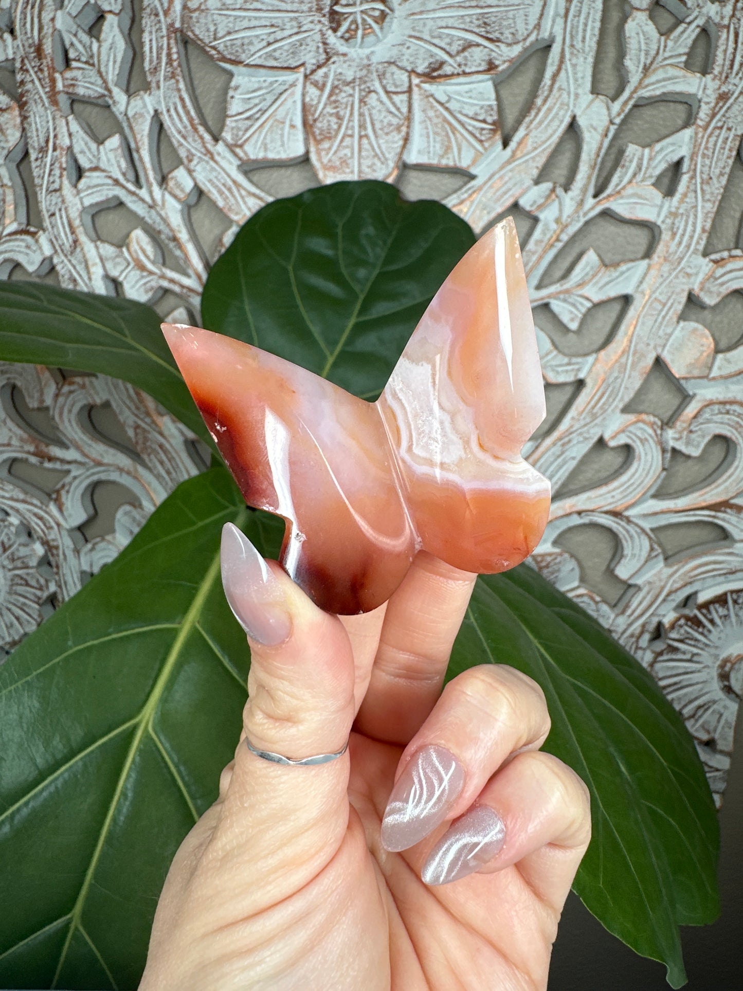 BUTTERFLY MYSTERY BOX