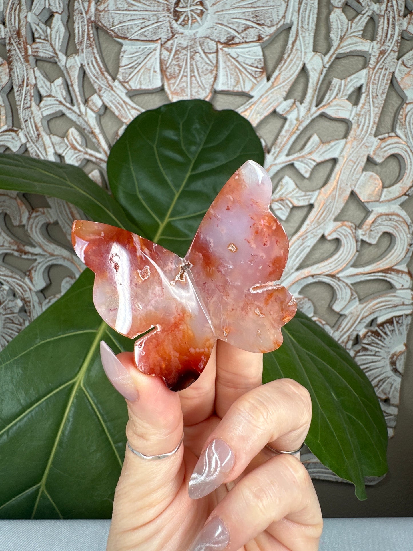 BUTTERFLY MYSTERY BOX